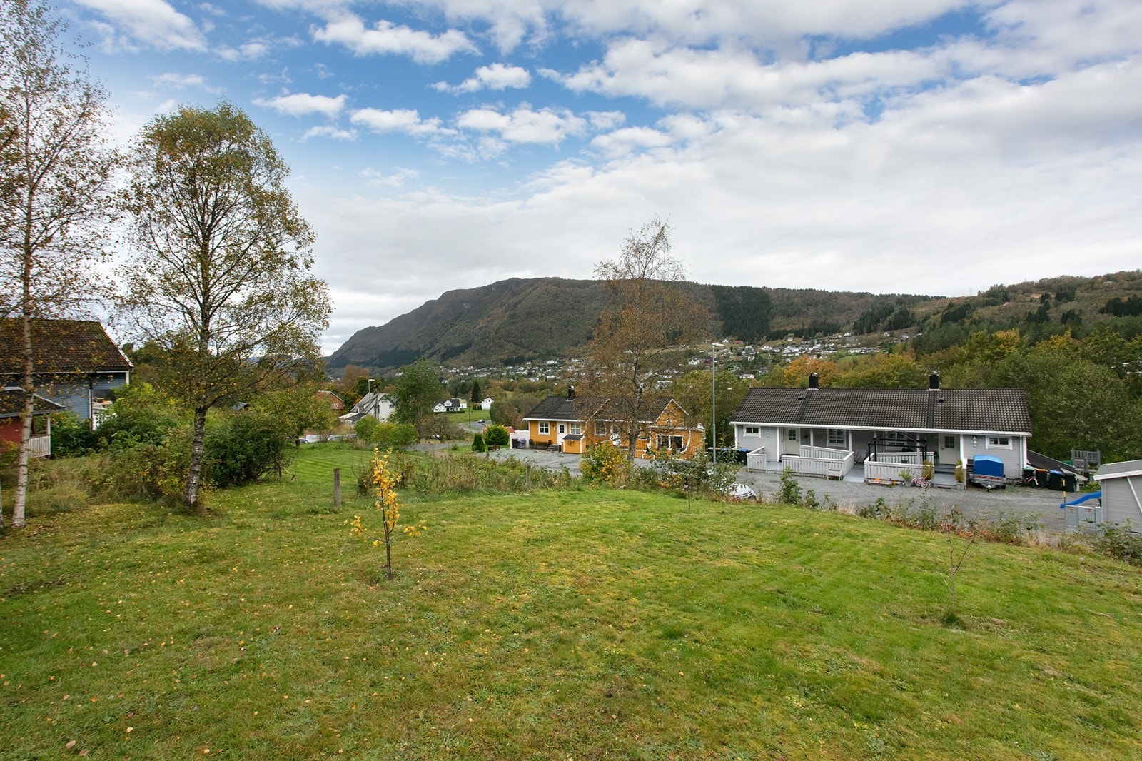 Hage med plen og frukttær Galleribilde