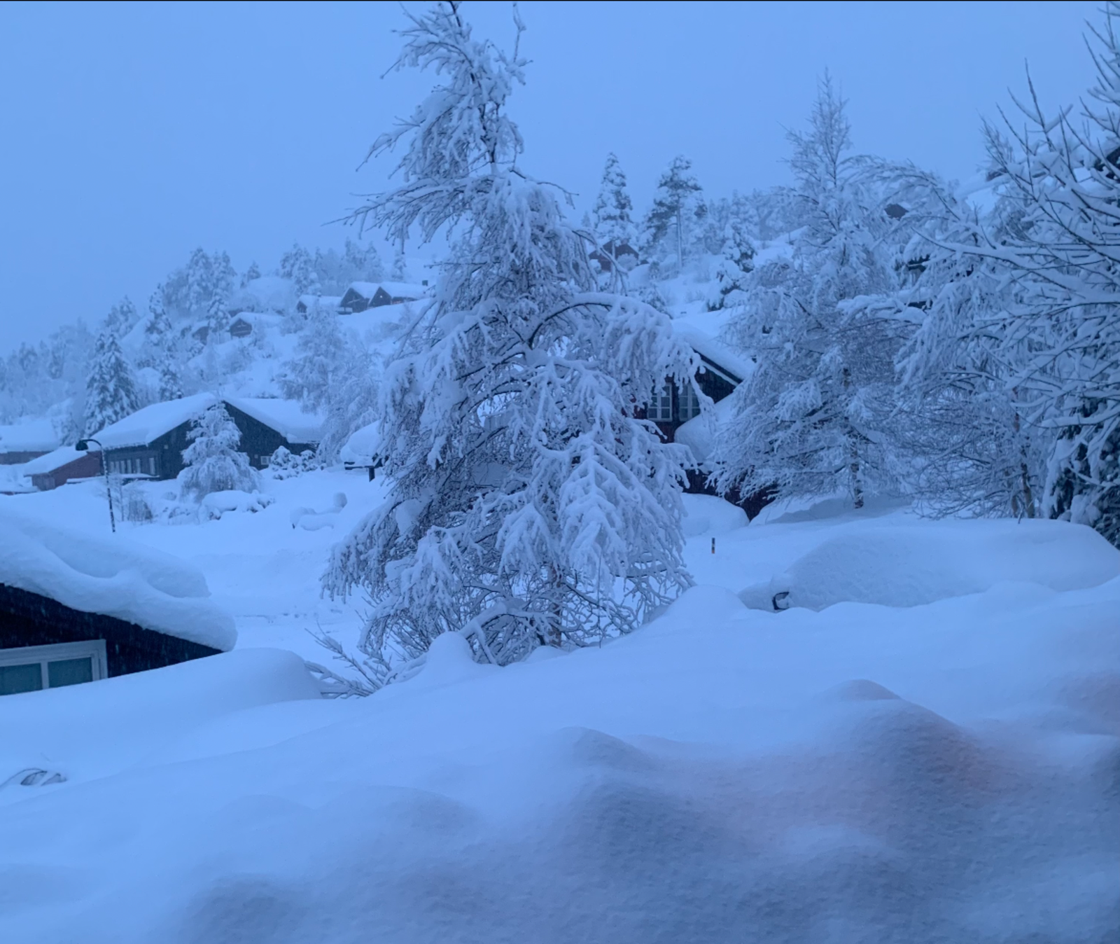 Stemningsbilde fra selger Galleribilde