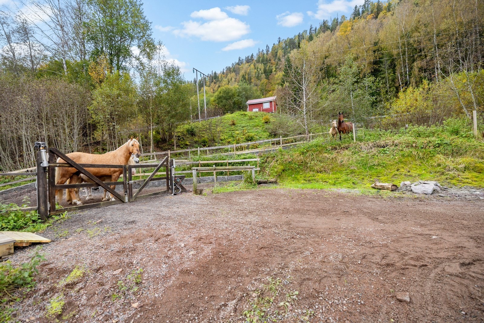 Det er oppført innhegning som er store deler nylig drenert og gruset for godt dyrehold. Galleribilde
