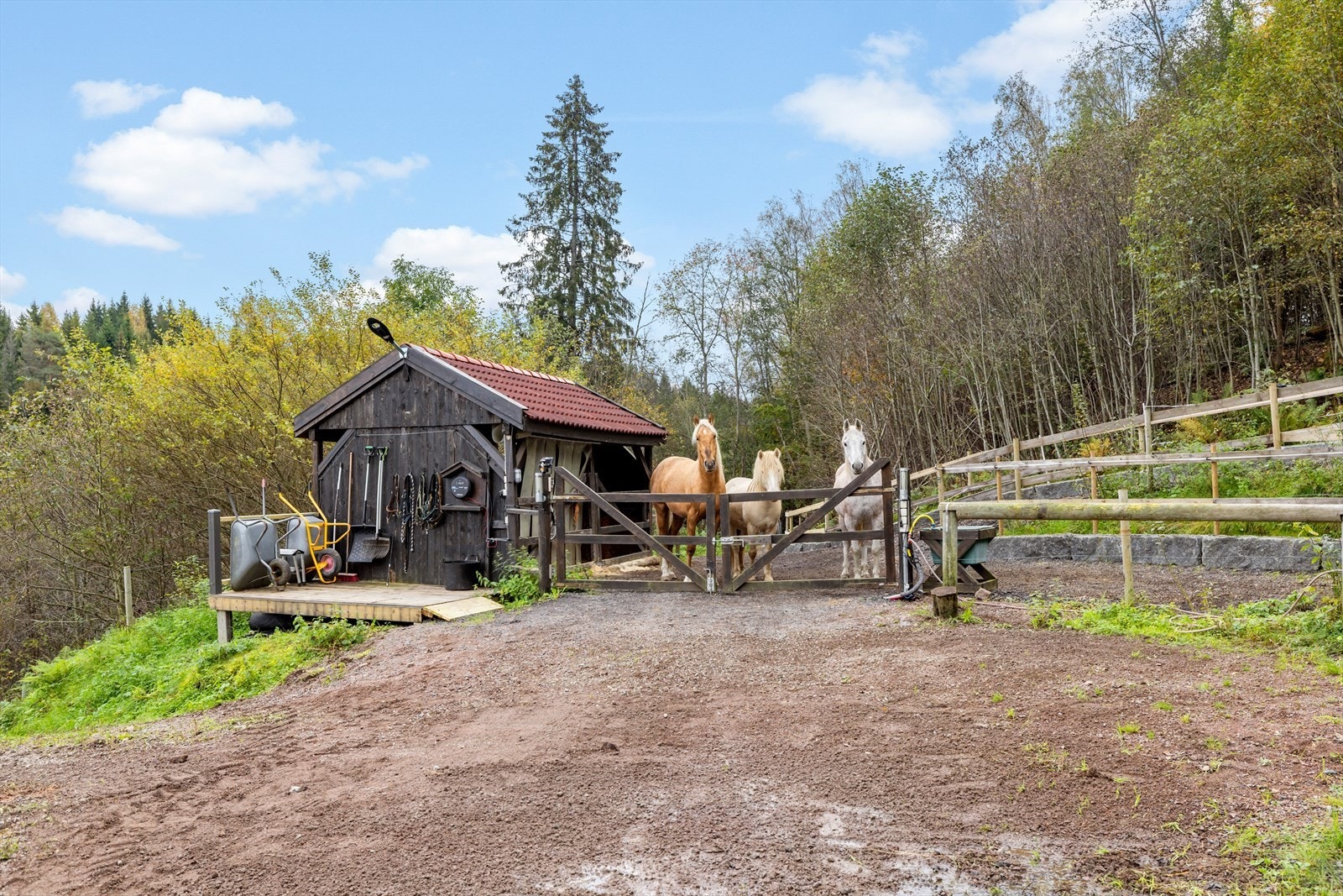 Eiendommen har nytt hesteskur med 2 bokser, støm og vann. Skuret er ikke byggemeldt. Galleribilde