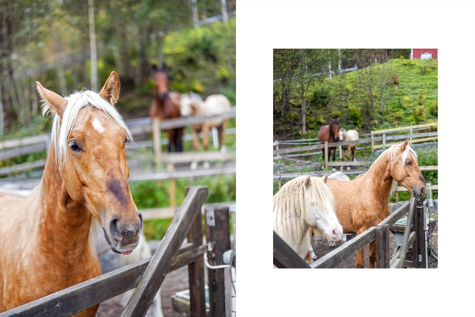 Stemningsbilde. Galleribilde