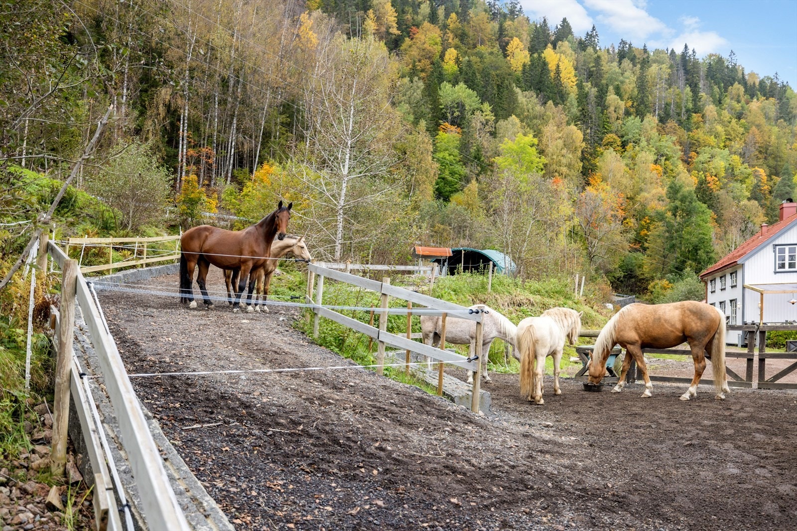 Eiendommen er perfekt for dem som ønsker dyrehold. Galleribilde