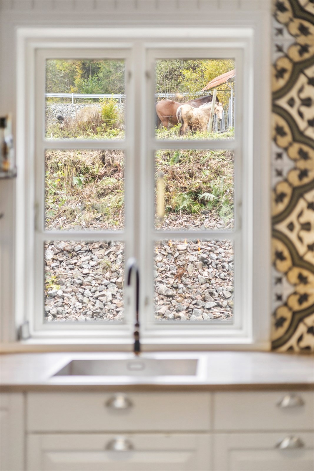 Her kan du lage mat og følge med ute på dyrene eller den nydelige naturen. Galleribilde