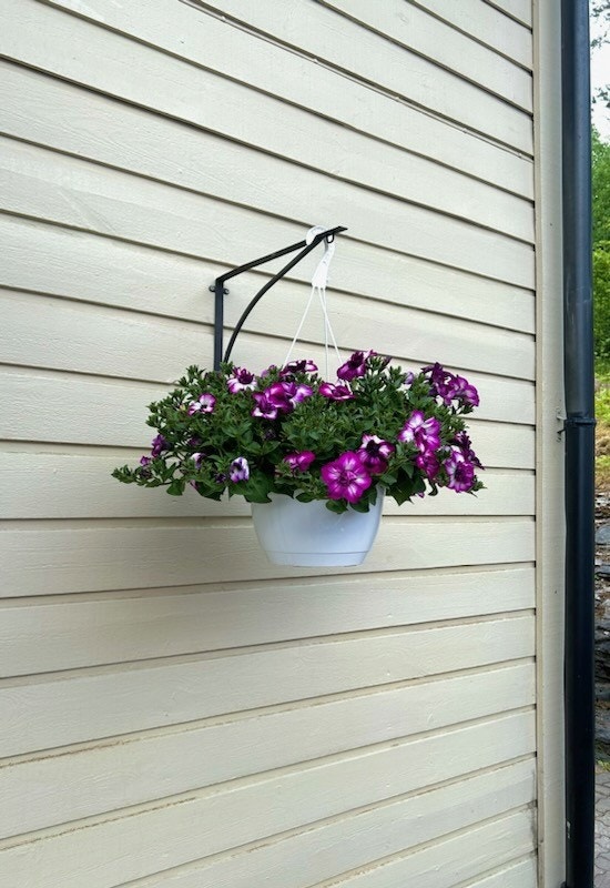 Selgers private bilde Galleribilde