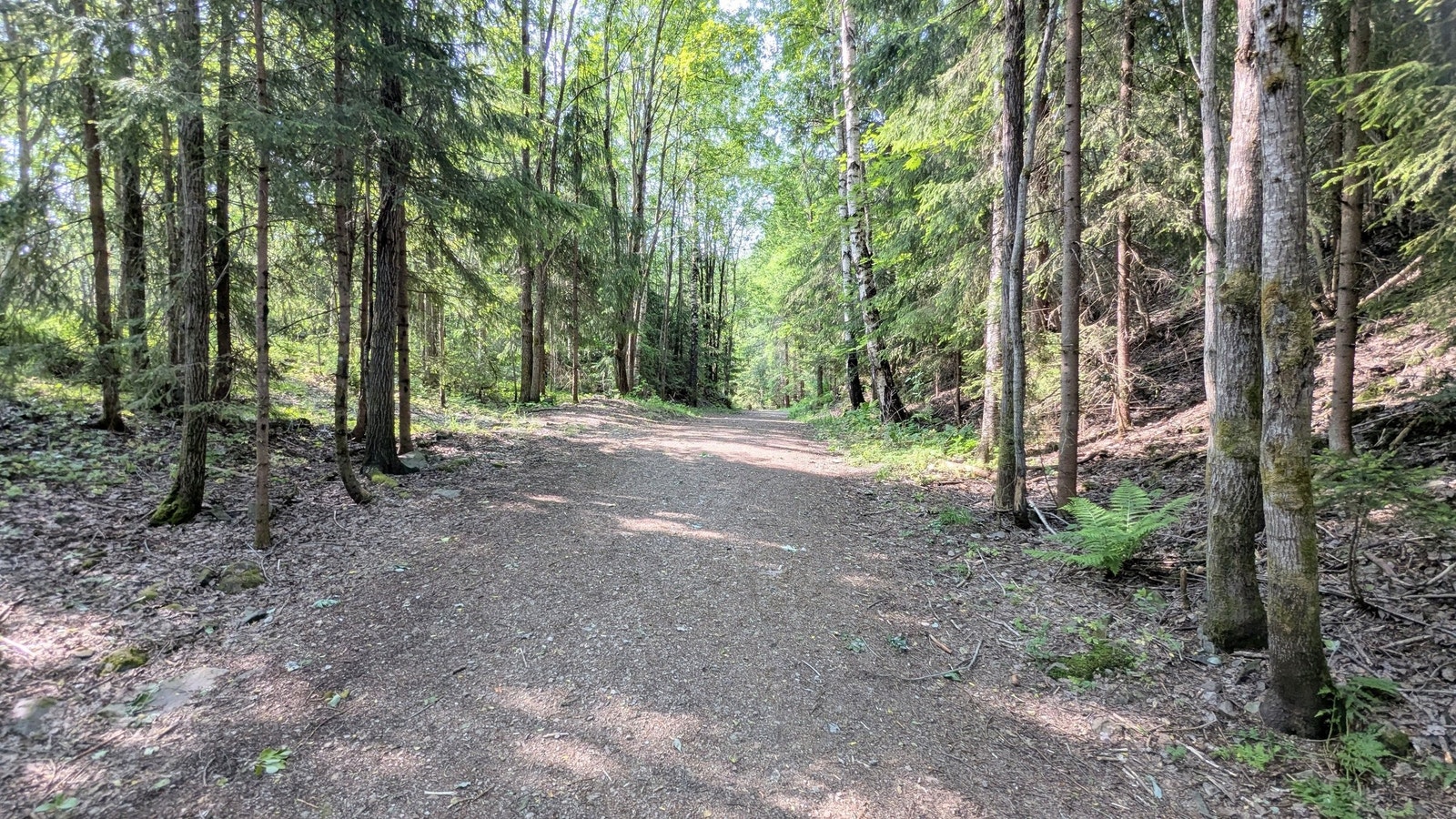 Marka i umiddelbar nærhet Galleribilde