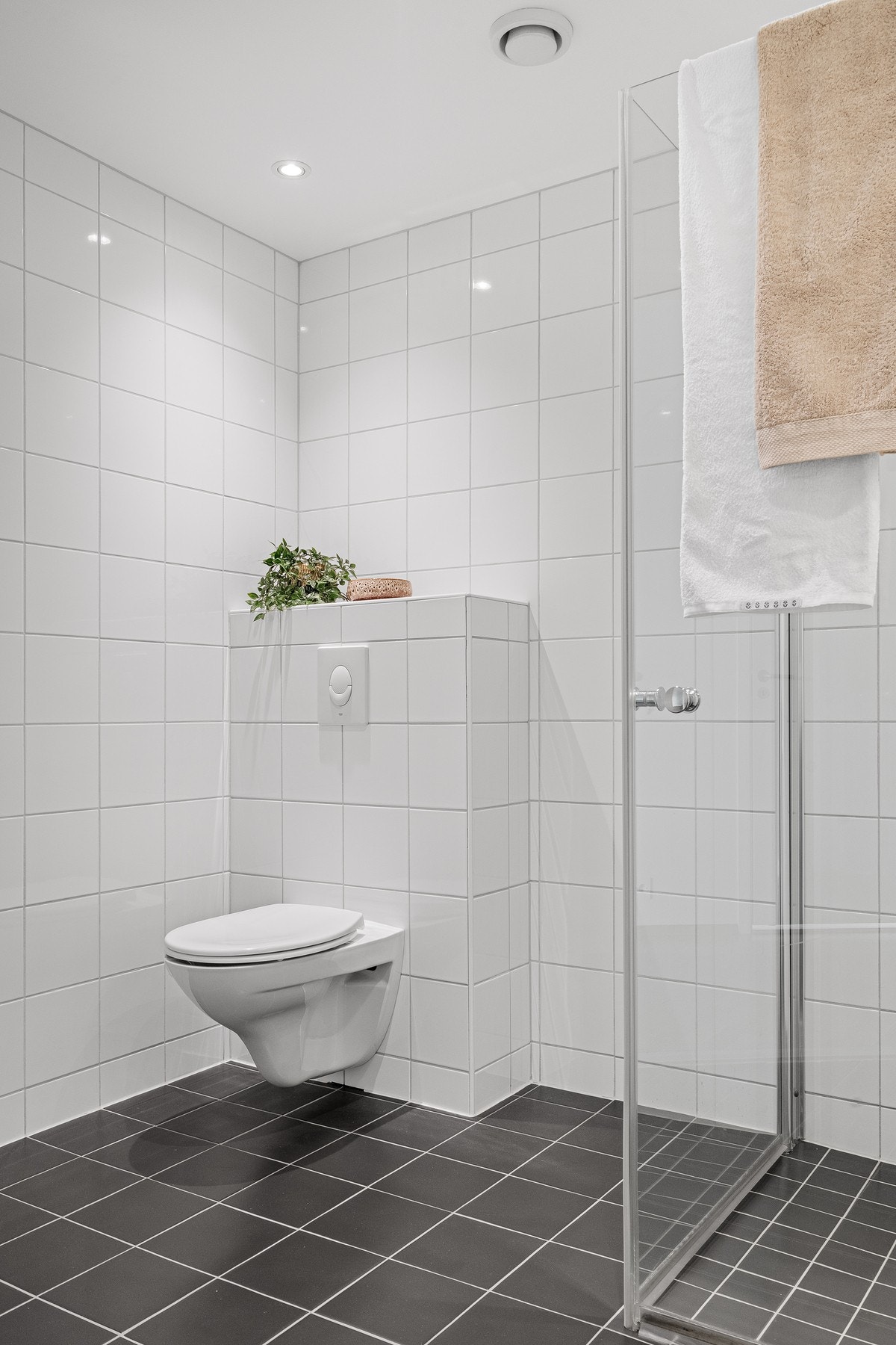 Vegghengt toalett og dusjnisje med glassdører. Galleribilde