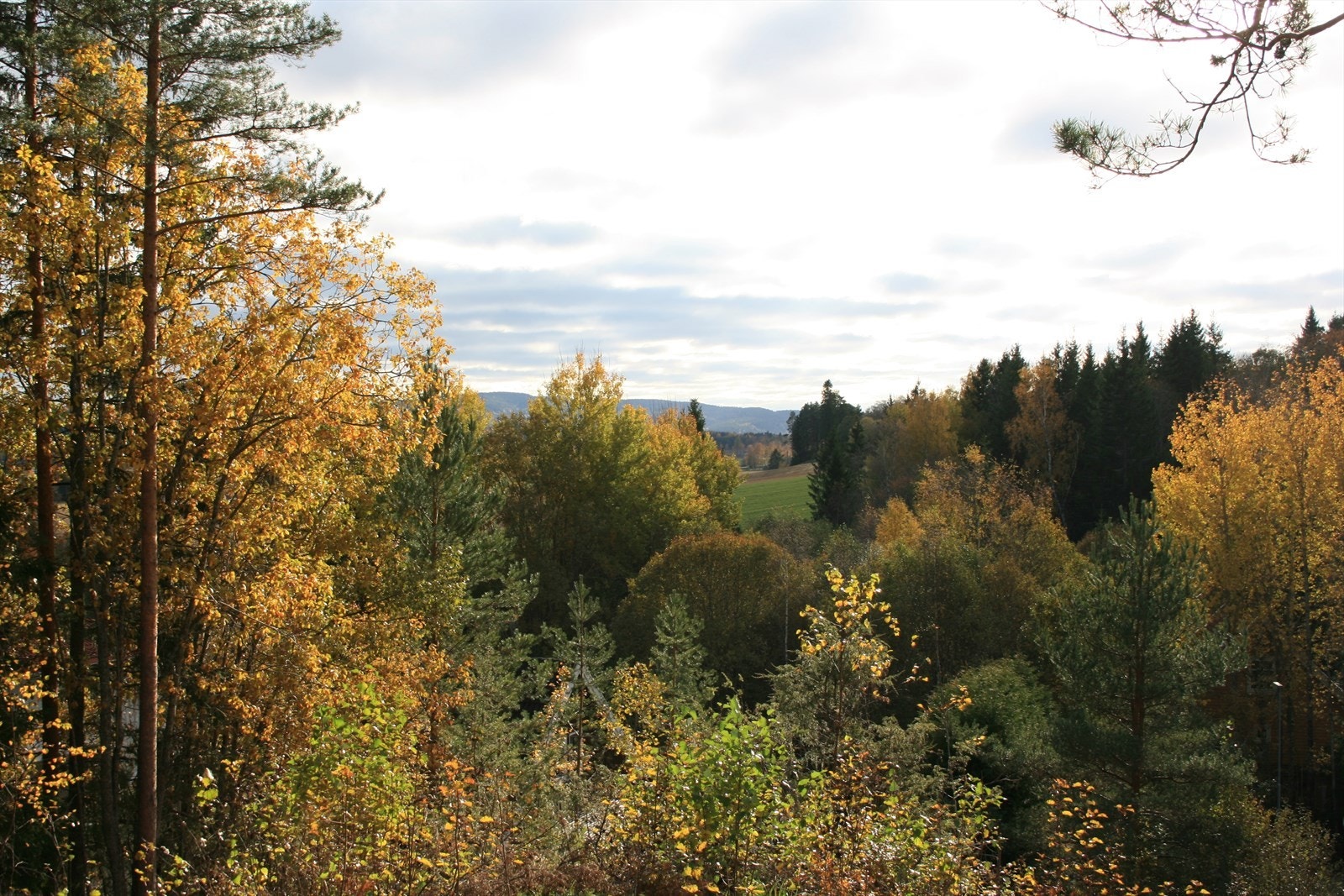 Utsikt fra tomten Galleribilde