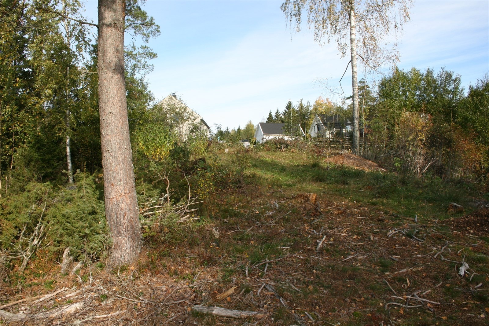 Området er uten gjennomgangstrafikk og meget barnevennlig Galleribilde