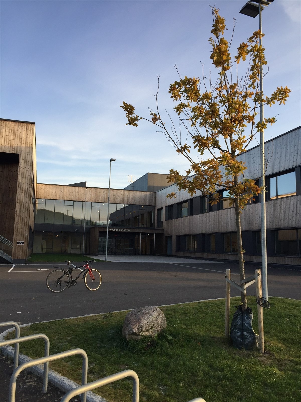 Bjørkelangen skole ble bygget i 2018 og er en 1-10 skole. Det er gangavstand fra tomten Galleribilde