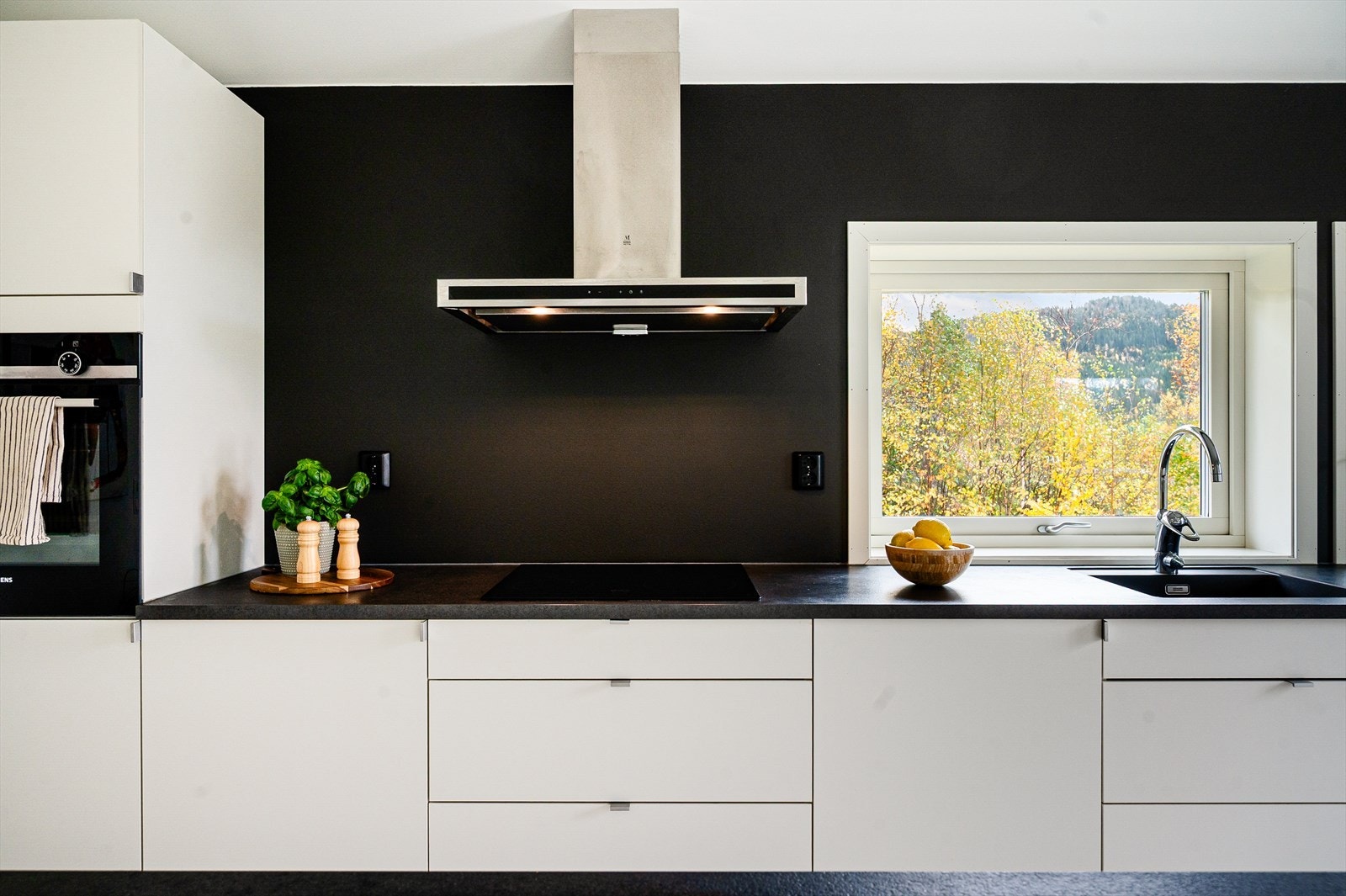 Kjøkken fra kvalitetslevarønderen Sigdal Galleribilde