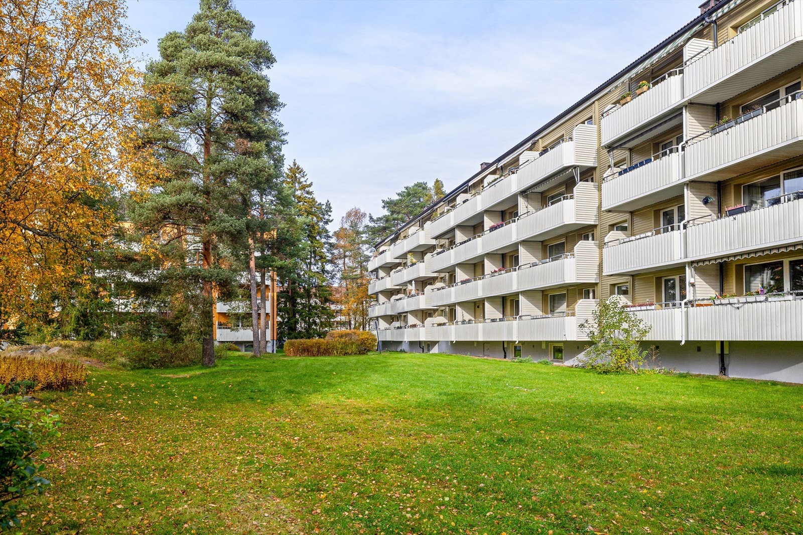 Fasade. Galleribilde