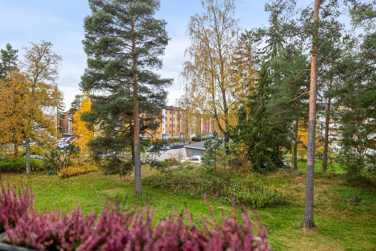 Frodig utsyn fra balkongen. Galleribilde
