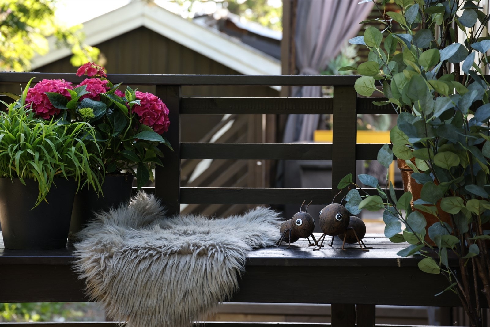 Ta med morgenkaffen ut hit! Galleribilde