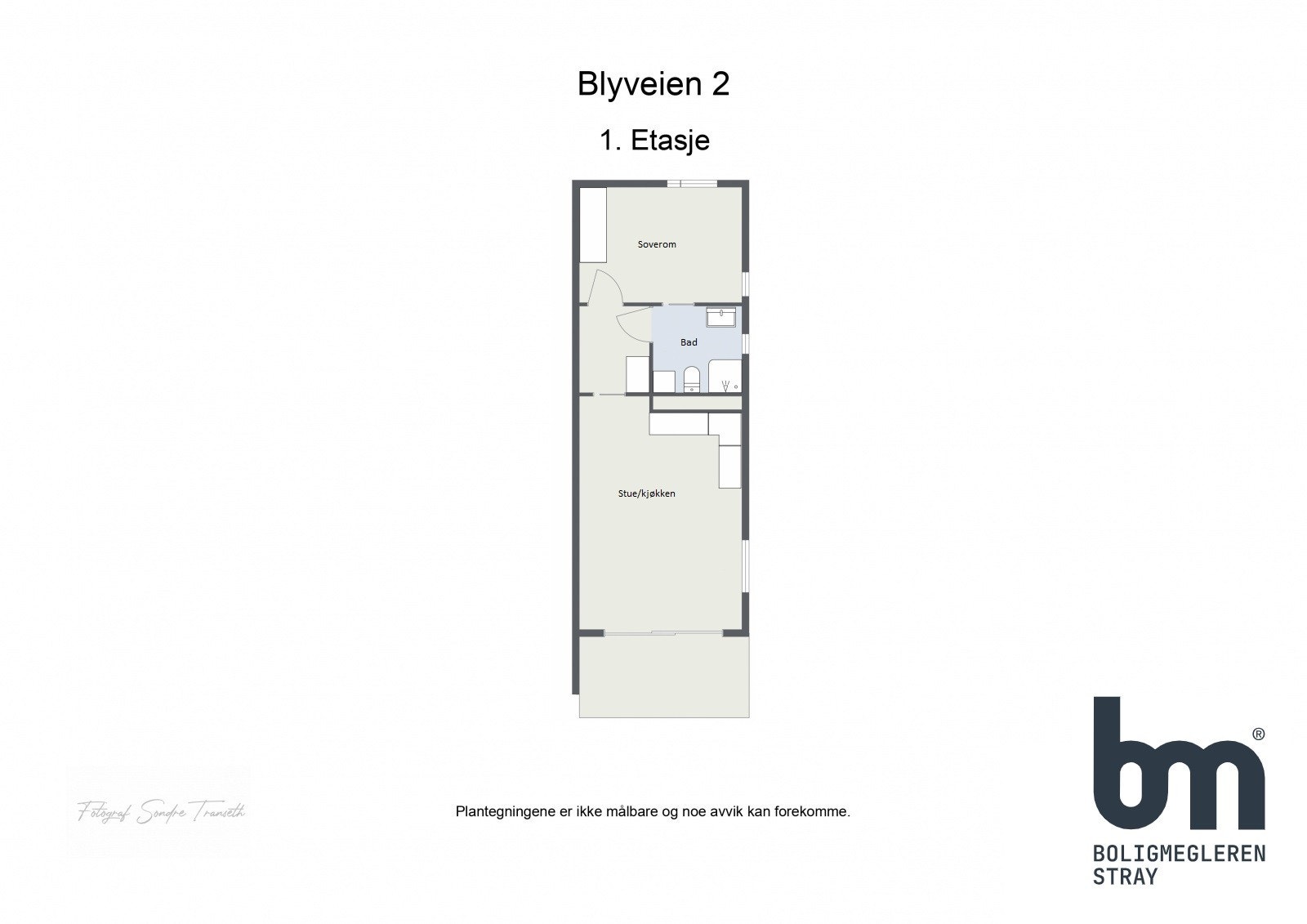 Planskisse Galleribilde