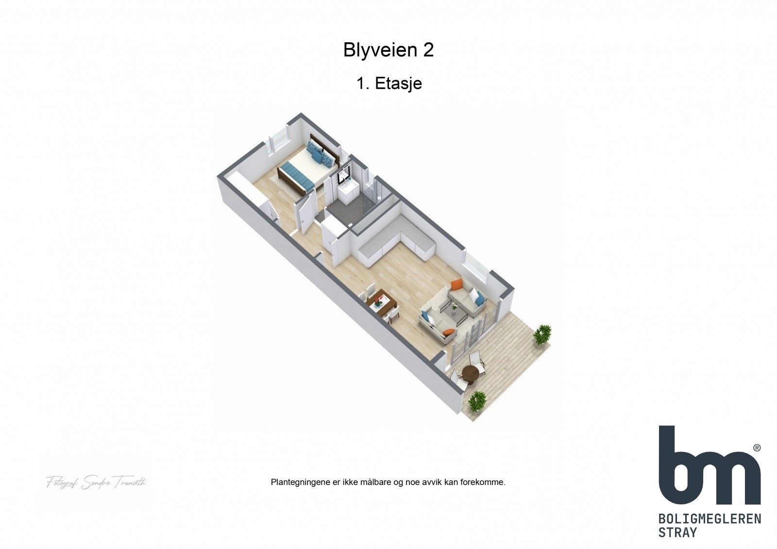 Planskisse 3D Galleribilde