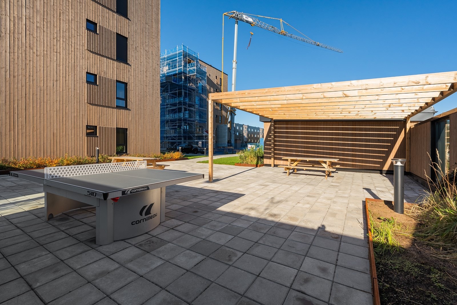 Hyggelige felles uteplasser Galleribilde