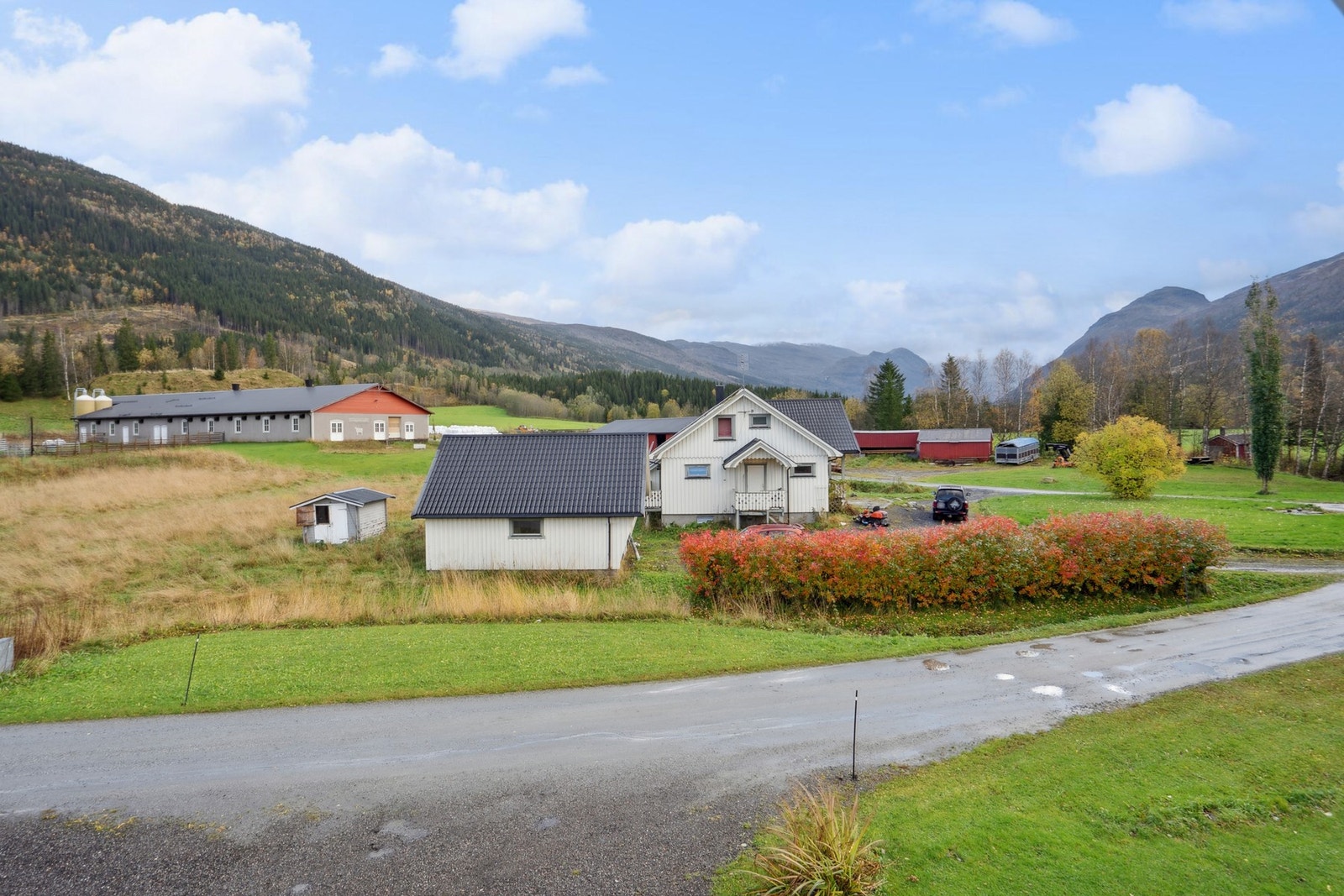 Velkommen til en hyggelig visning! Galleribilde