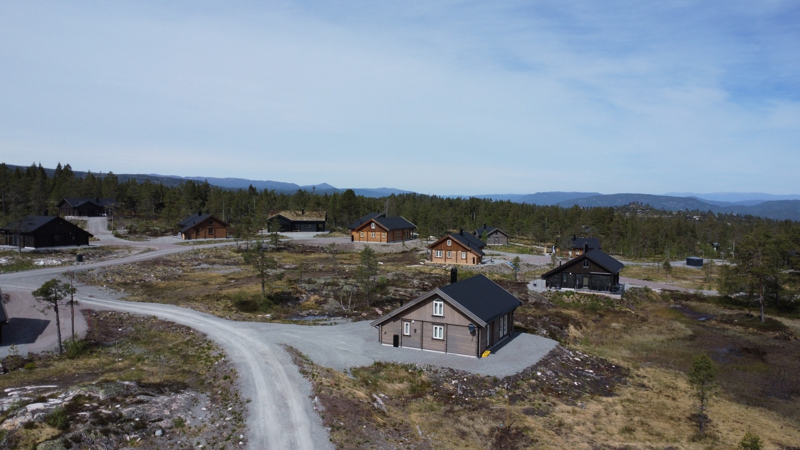Rustand Fjellgrend er populært område på Blefjell Galleribilde