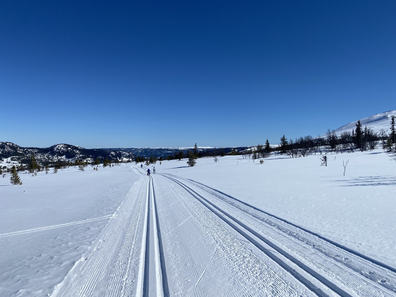 Milevis med preparerte skiløyper kort vei fra hytta. Galleribilde