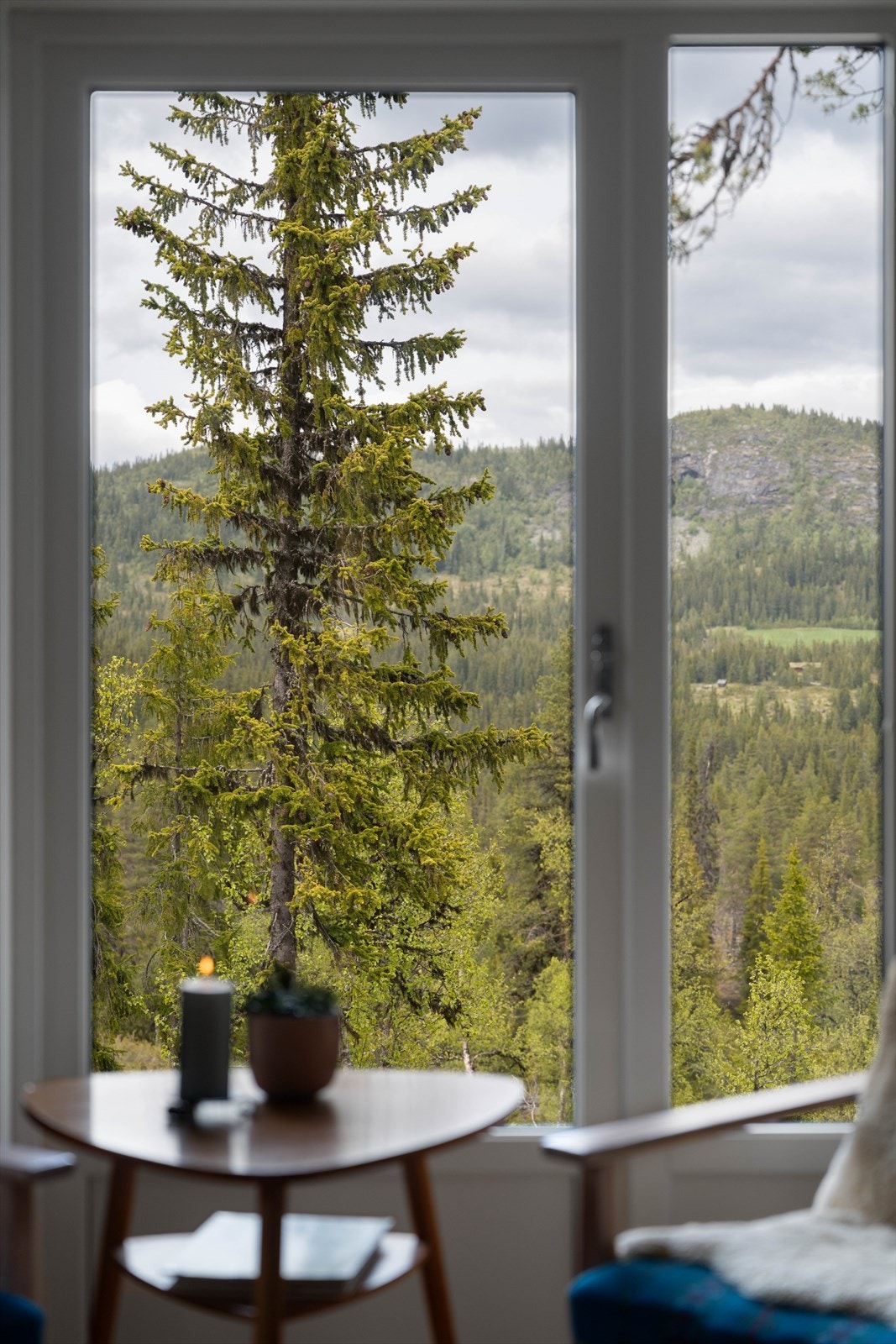 Flott utsikt fra sitteplassen i stua Galleribilde