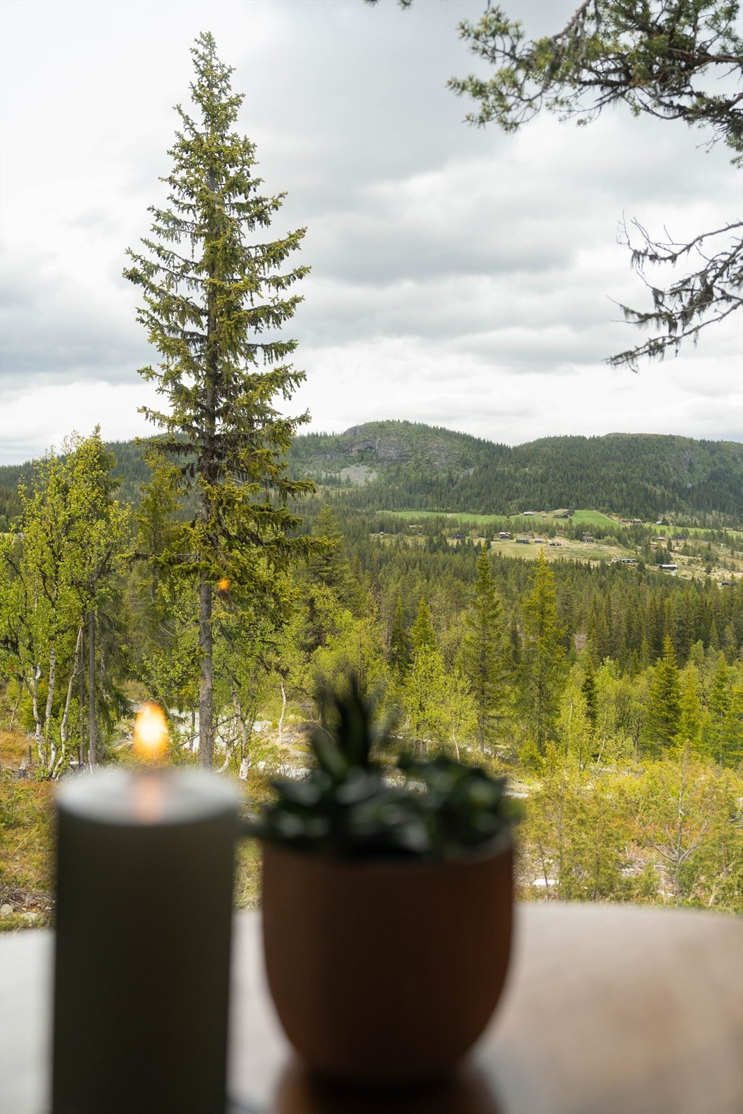 Detalj fra stua. Galleribilde