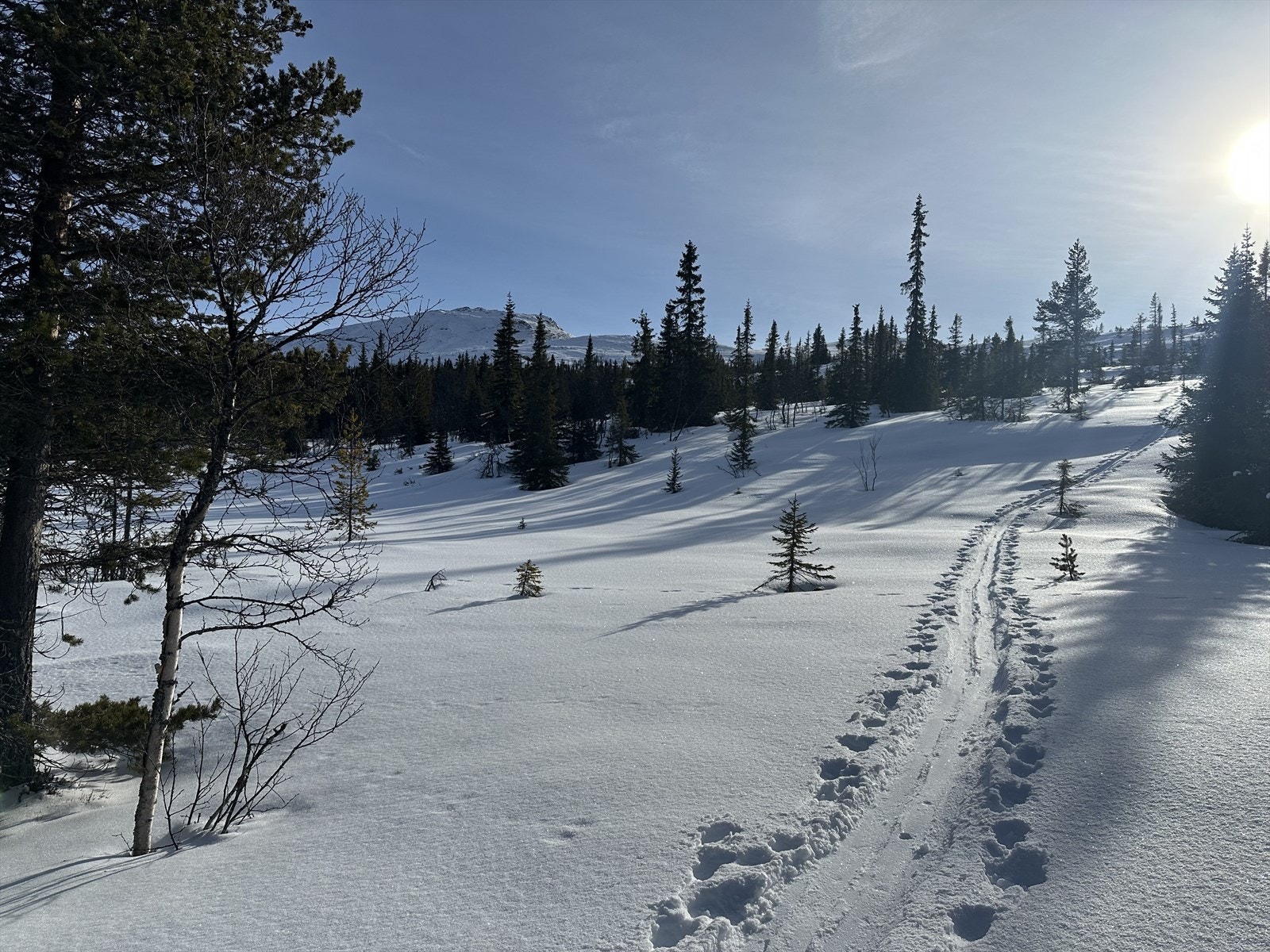 Du kan ta på skiene utenfor hytta og ta en flott topptur til Fekjafjell og toppene innover. Galleribilde