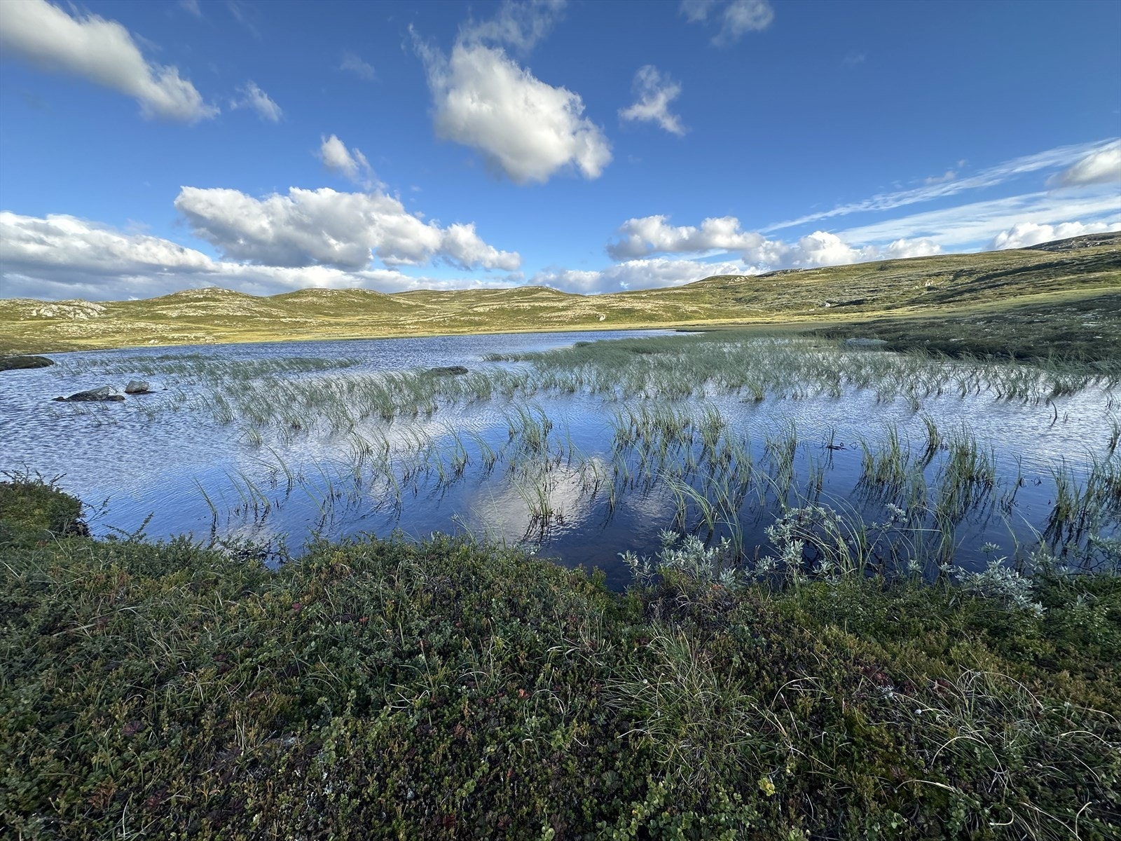 Flott turområde! Galleribilde