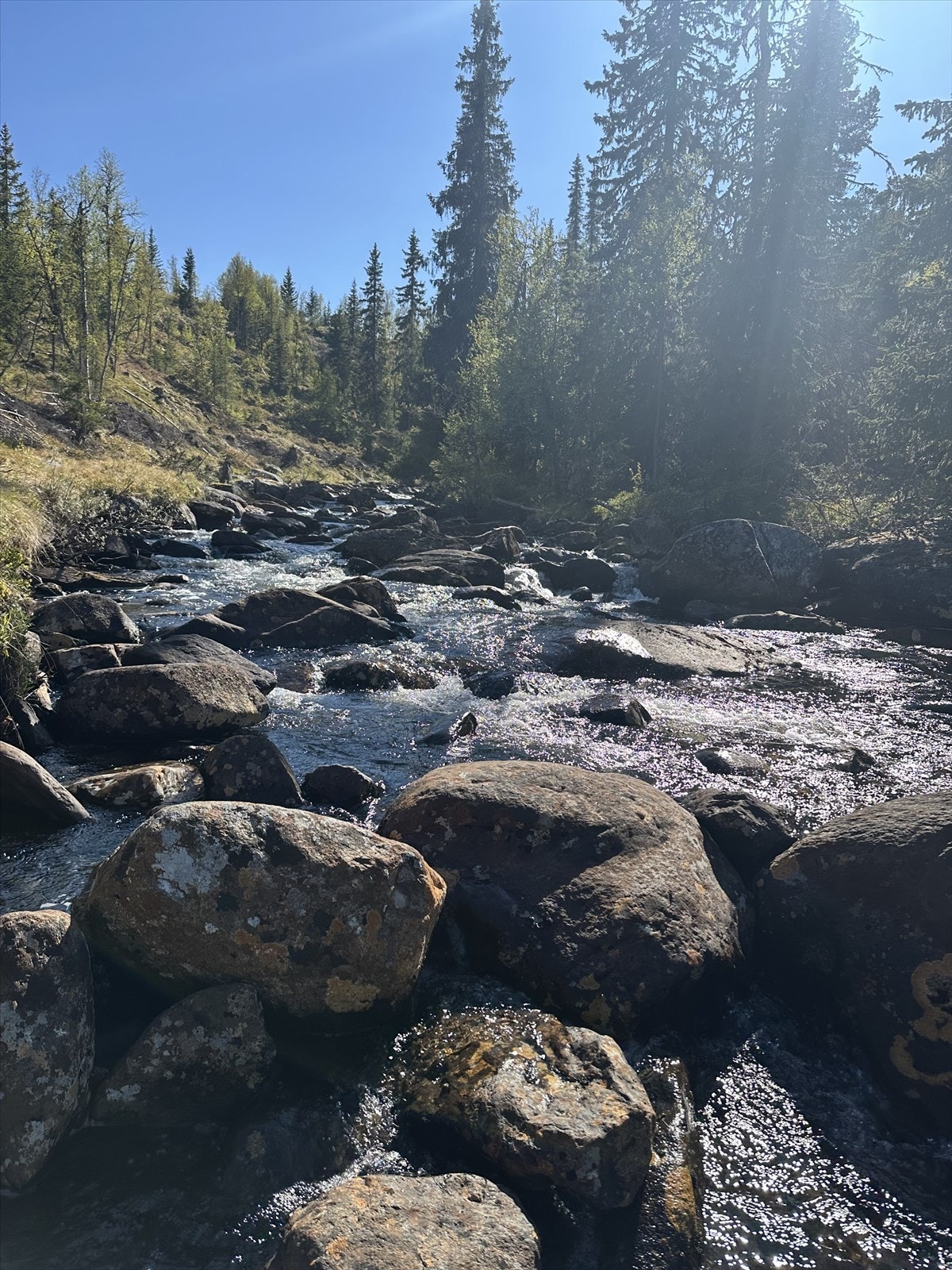 Ca. 100 meter til elva nedenfor hytta. Galleribilde