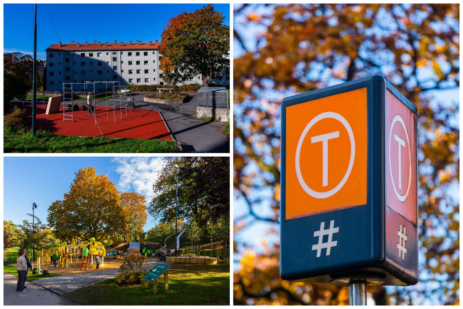 Nærområde. Galleribilde