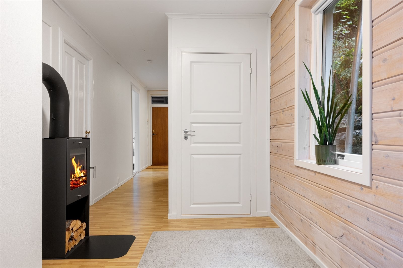 Løsbar dør ned til kjelleren Galleribilde