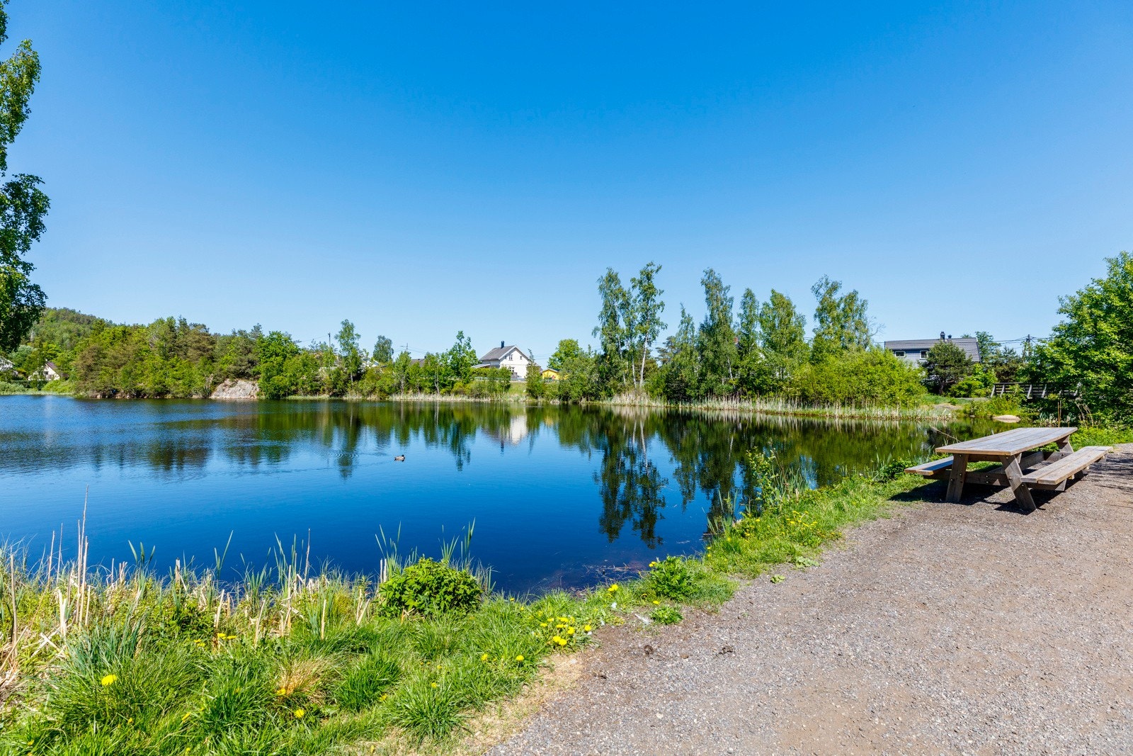 Mellomdammen Galleribilde