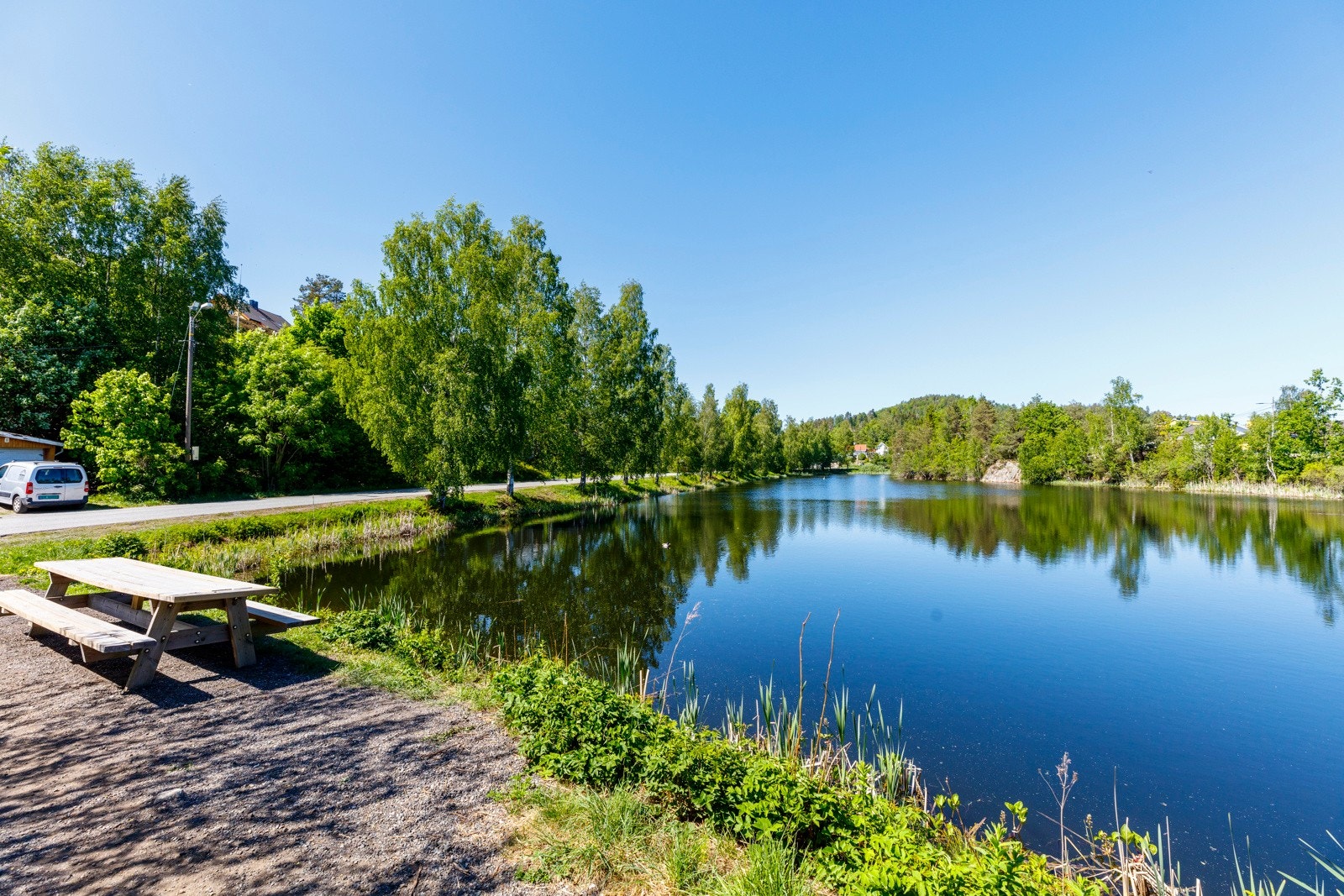 Mellomdammen_6 Galleribilde