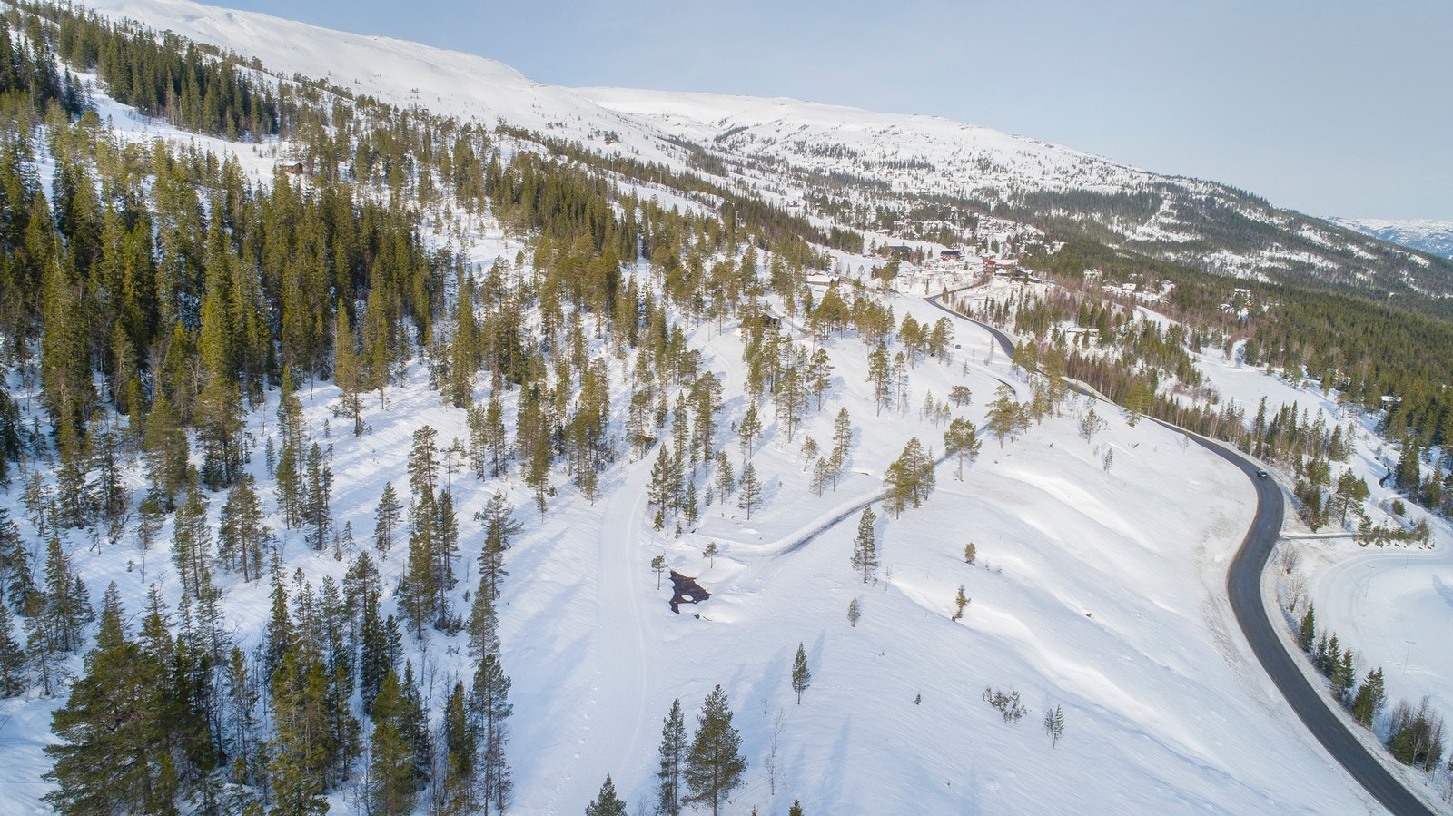 Dronebilde av område. Galleribilde