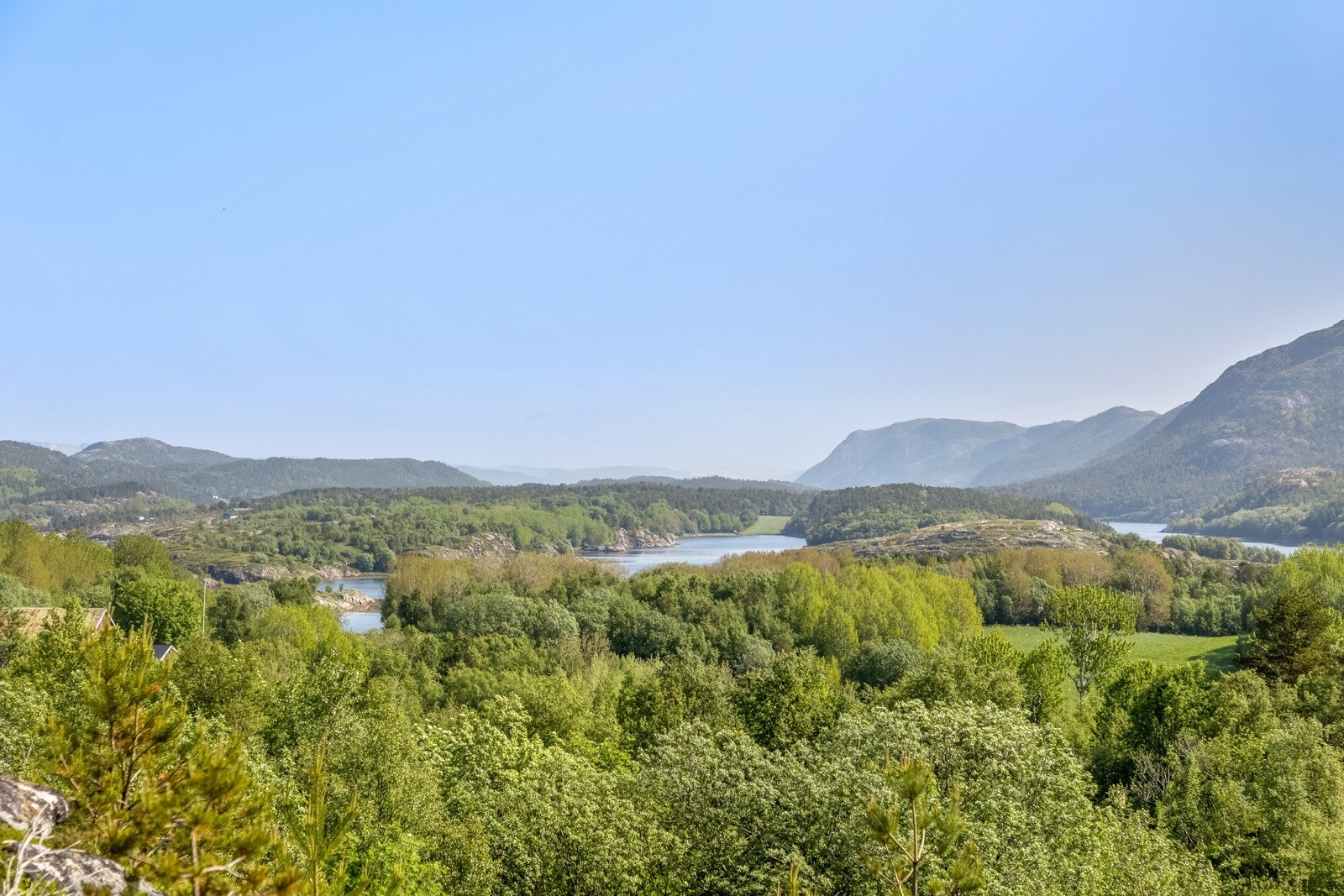 Utsikt over nærområdet. Galleribilde