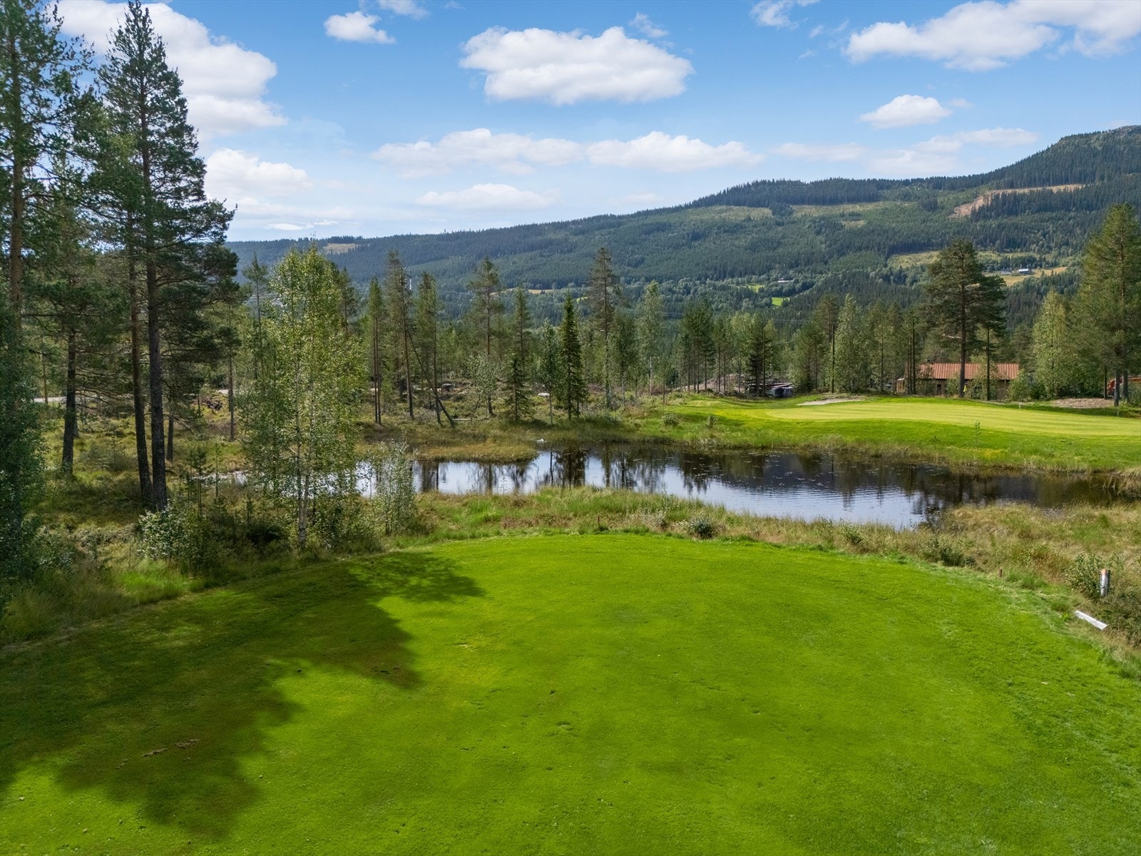 Hyttetomten ligger som en hestesko rundt hull 9 Galleribilde