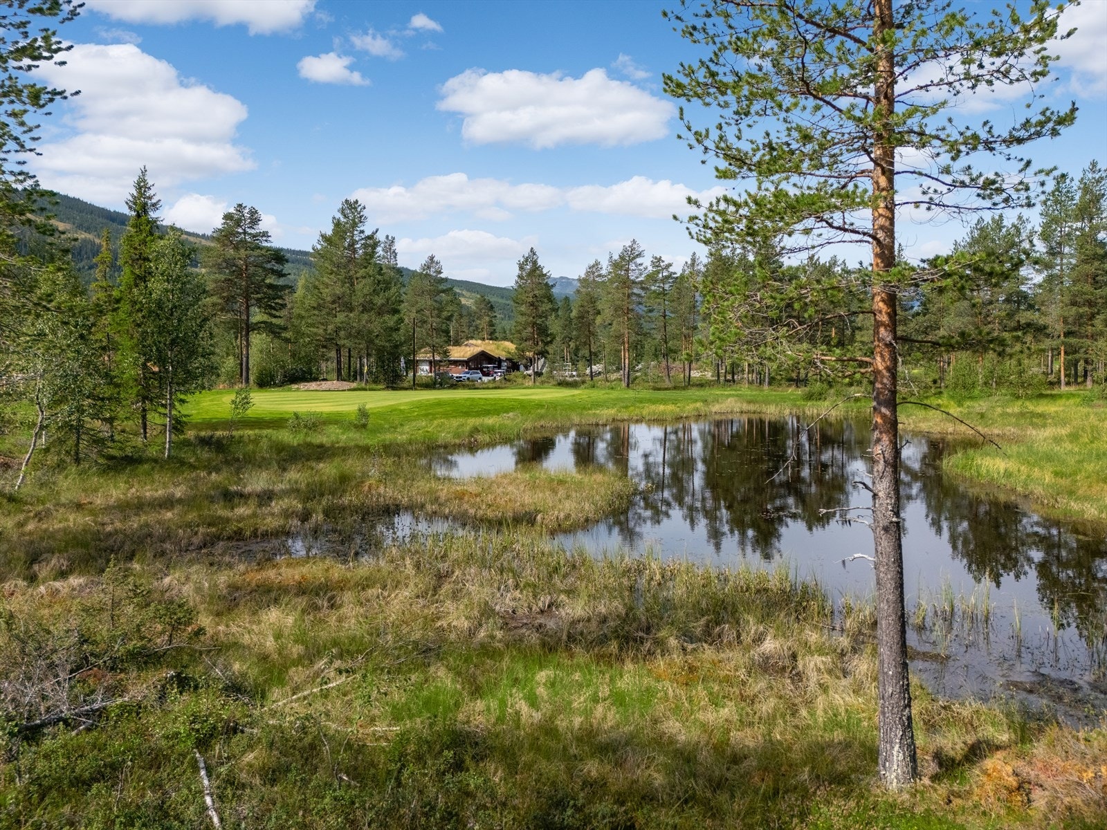 Utsikt fra tomt 11 Galleribilde