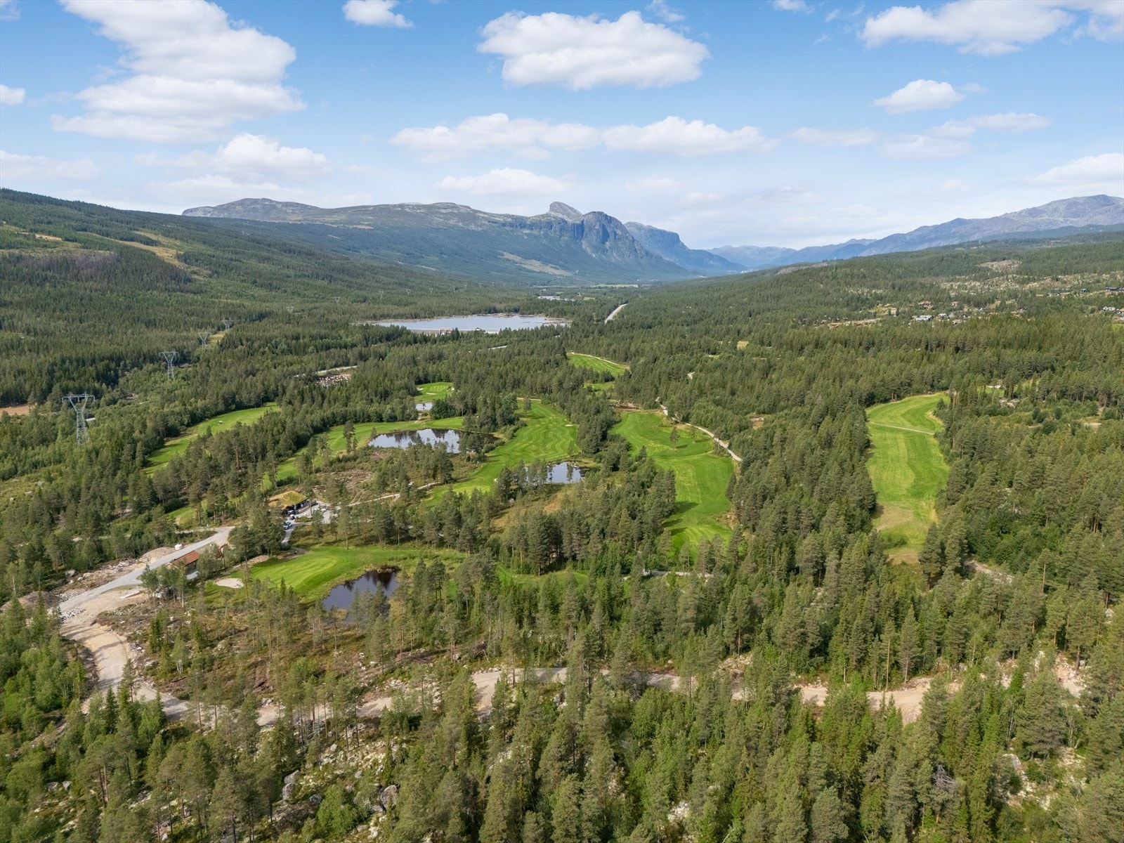 Heimsilgrenda tomtefelt Galleribilde