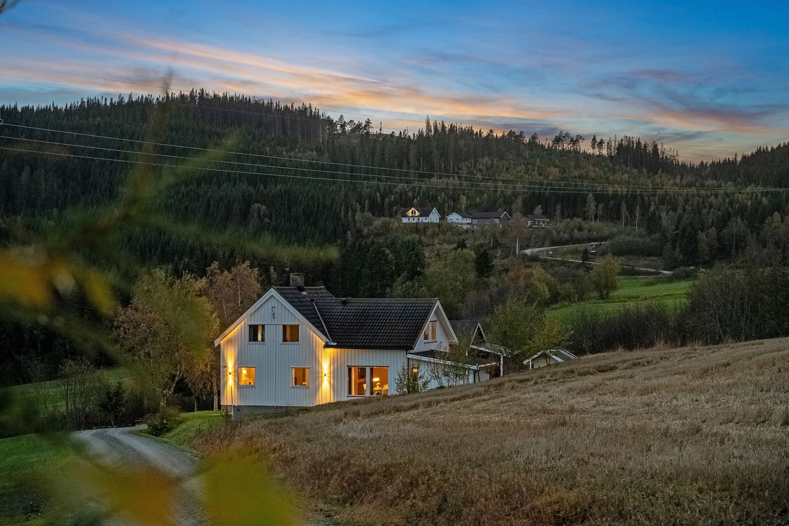 Velkommen til en hyggelig visning! Galleribilde
