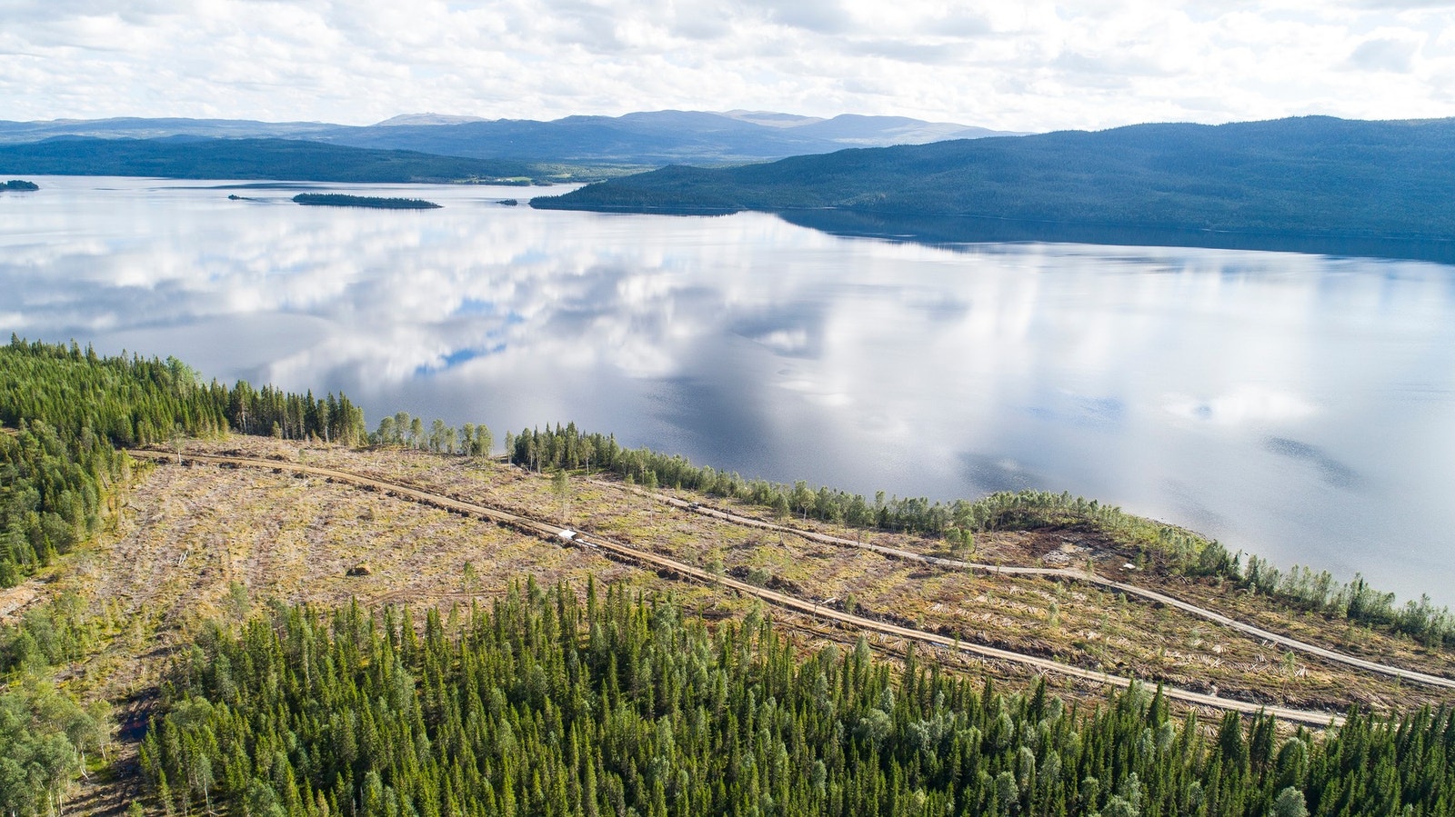 Dronebilde av feltet Galleribilde