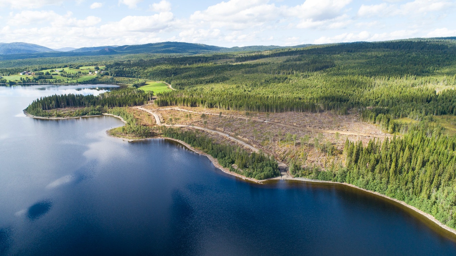 Dronebilde av feltet Galleribilde