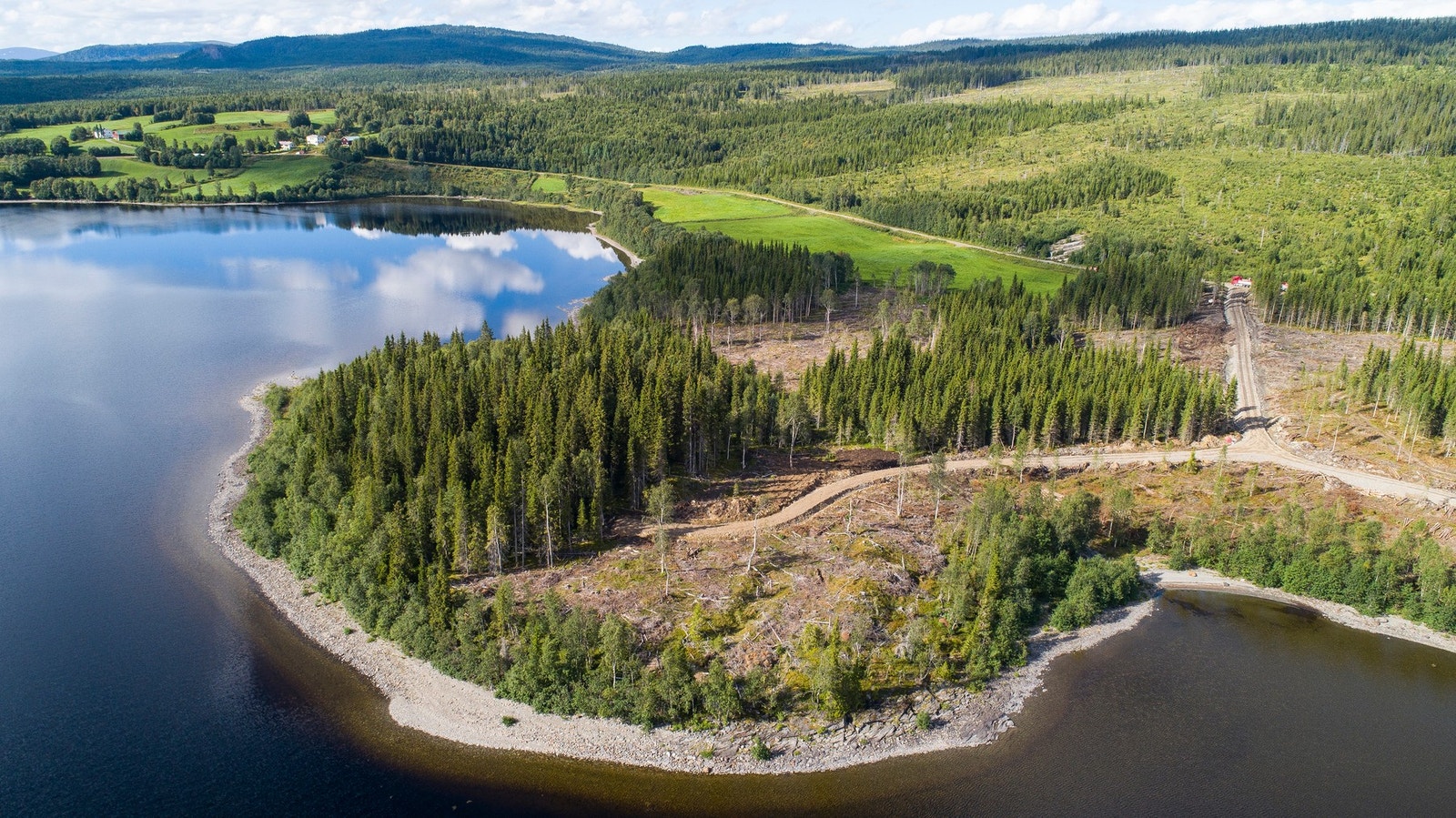 Dronebilde av feltet Galleribilde