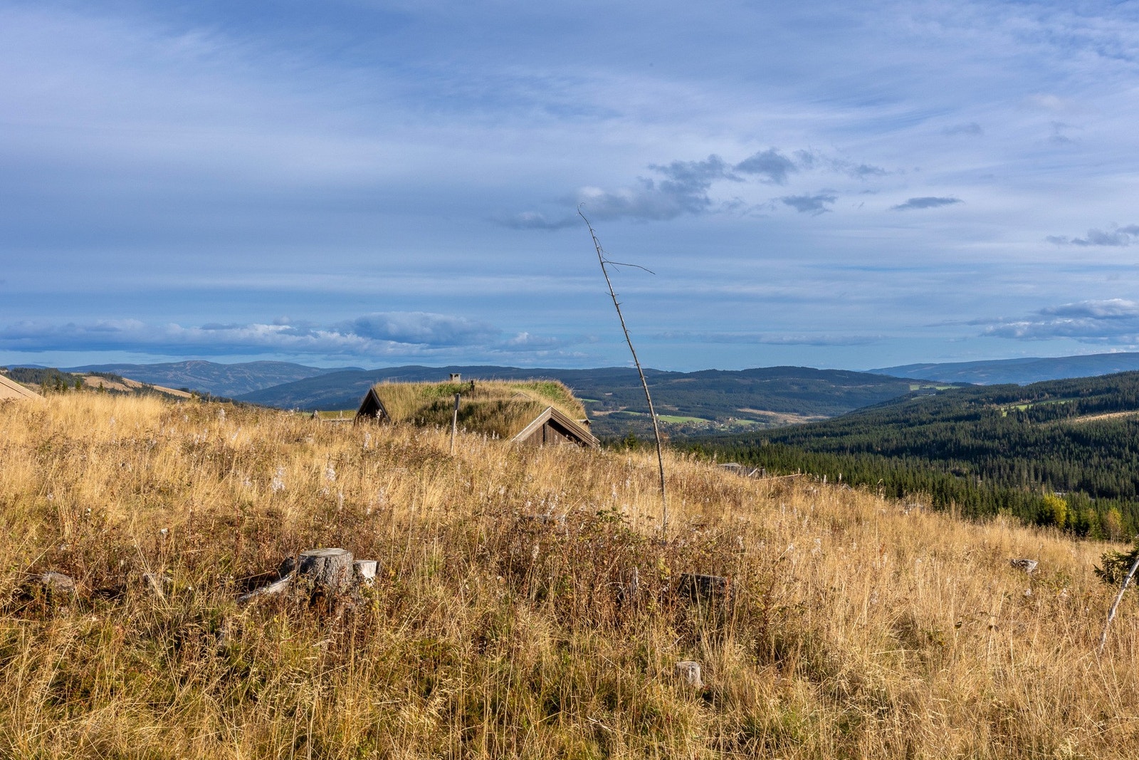 Om vinteren er dette et eldorado for både langrenn, alpint og frikjøring, mens sommerhalvåret byr på flotte turmuligheter til fots og på sykkel, toppturer, fiske og golf.Foto: Tor Jensbakken. Galleribilde