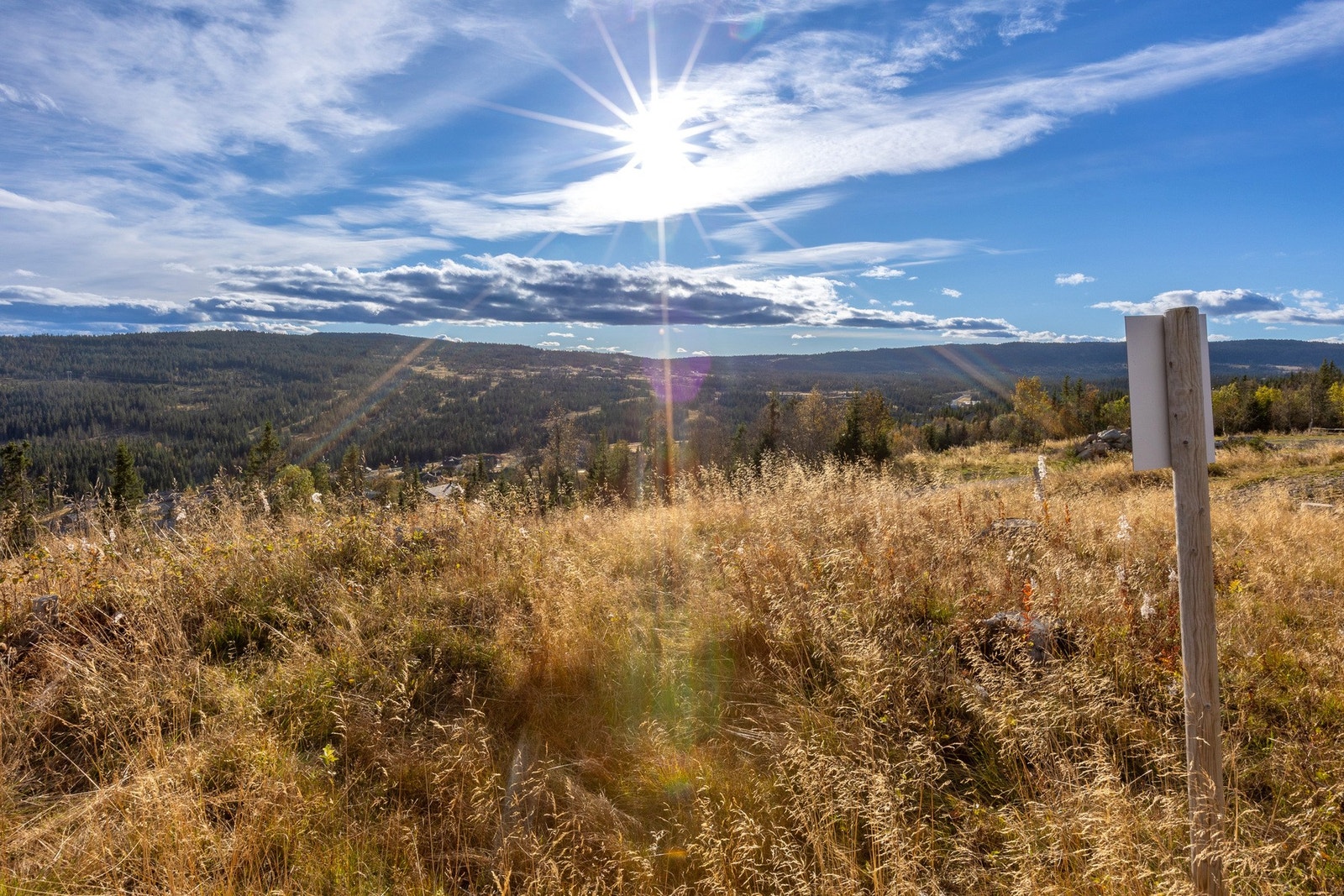 Fritidstomten ligger i et naturskjønt og nyetablert hytteområde på Skei i Gausdal. Foto: Tor Jensbakken. Galleribilde