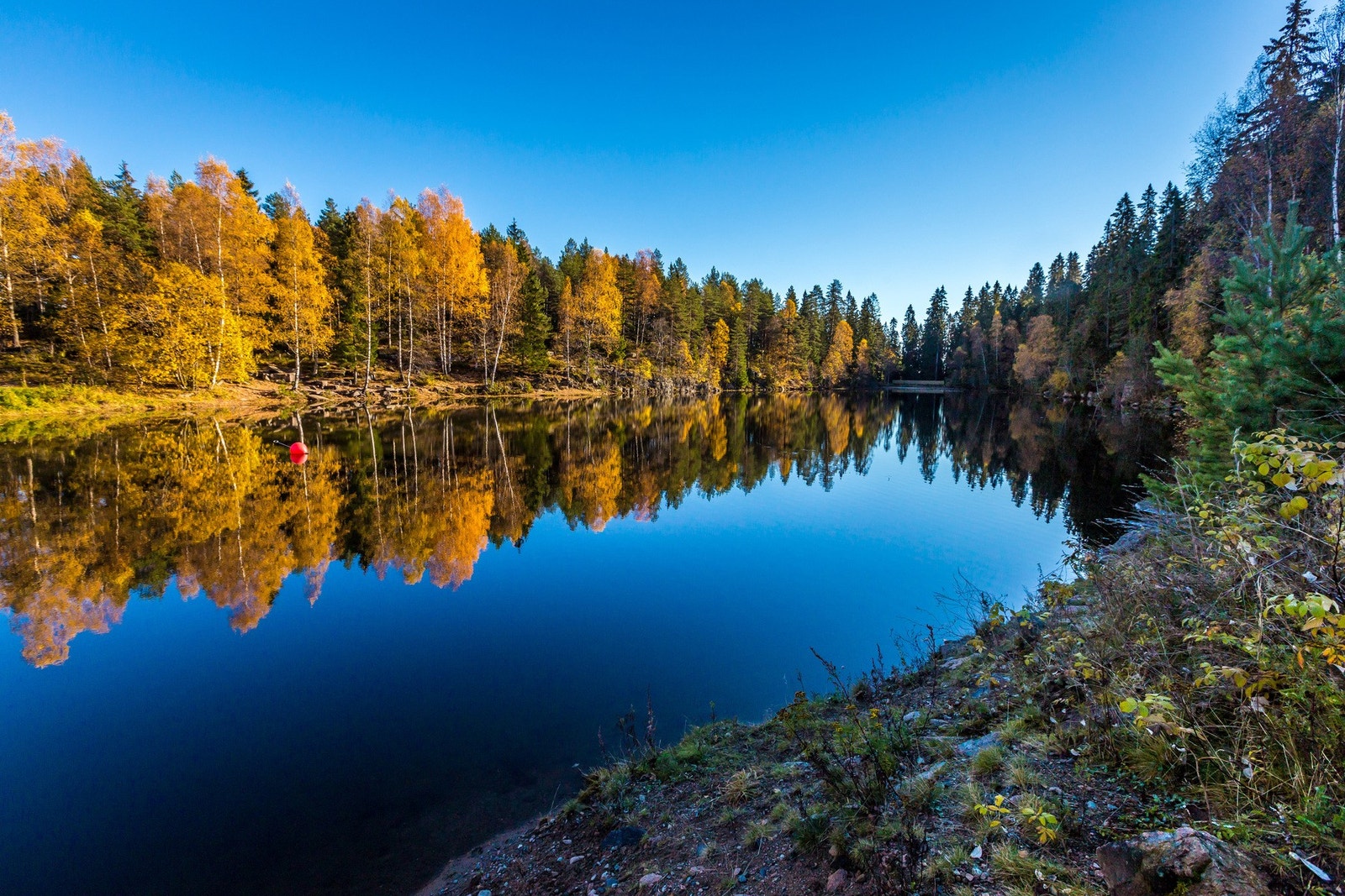Trollvann Galleribilde