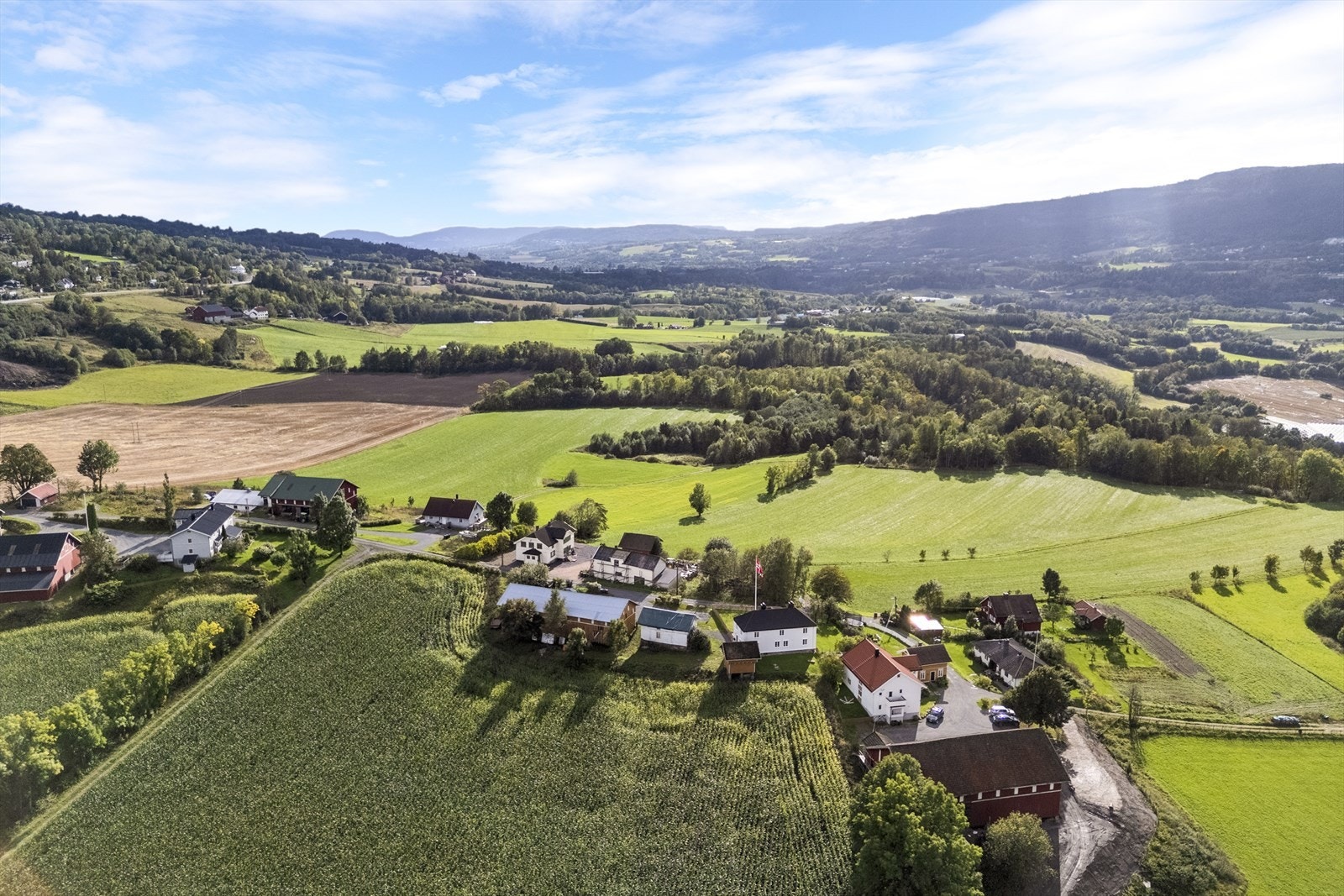Eiendommen ligger idyllisk til i "Grønne Lier", ligger langs blindveien Sørsdalgata på Tranby. Galleribilde