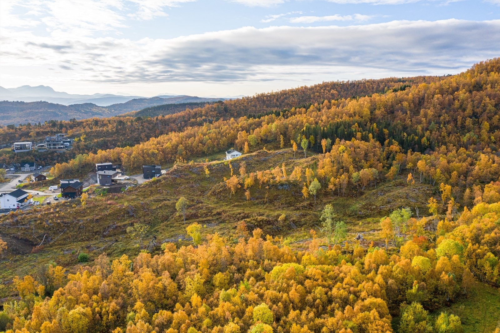 BIlde mot sør Galleribilde