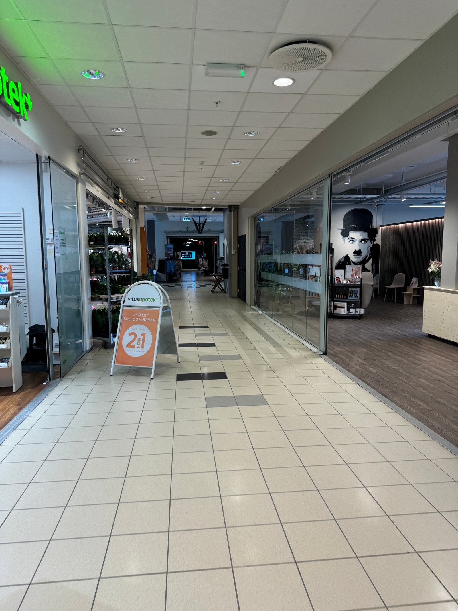 Fellesarealer Galleribilde