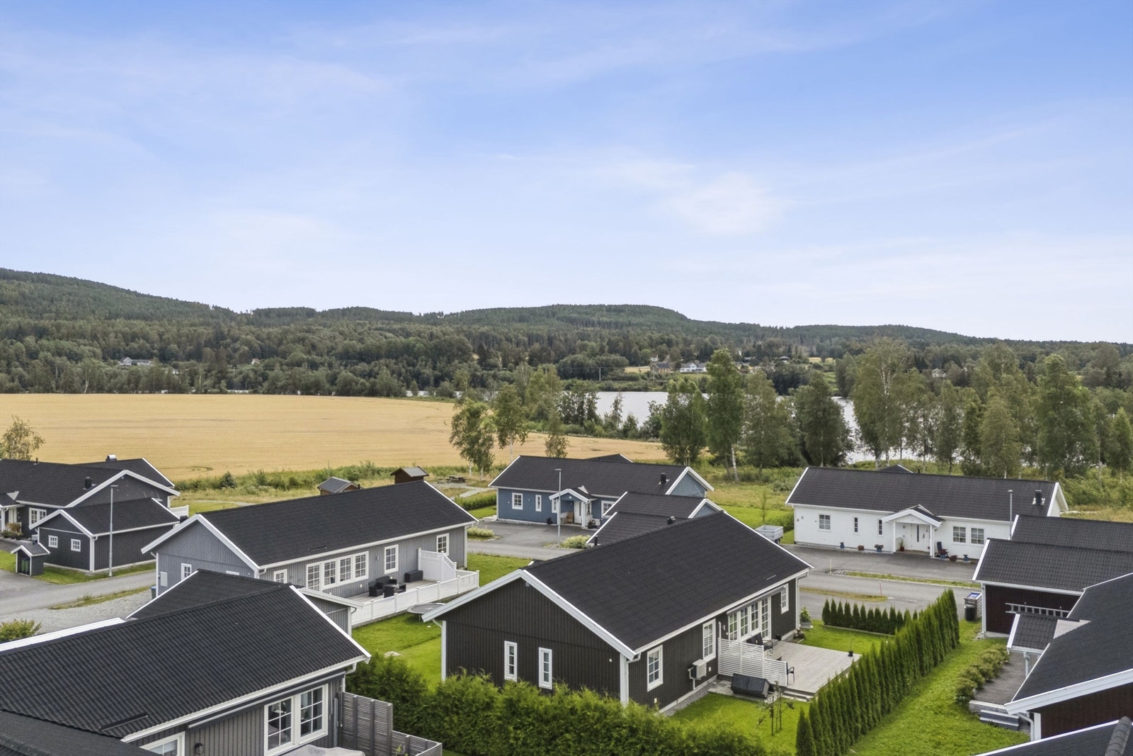 Rolig og familievennlig nabolag med nærhet til Glomma, flotte turmuligheter og populære badeplasser som Daskerudstranda. Galleribilde