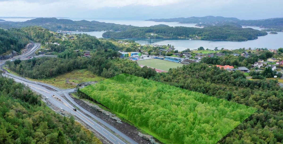 Reva sen-Sør-II Galleribilde