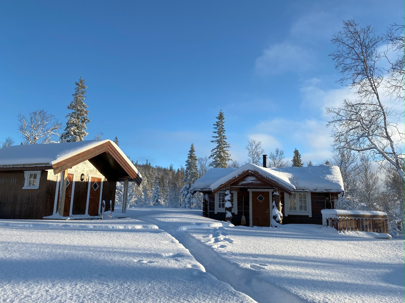 Selgers private vinterbilde. Galleribilde